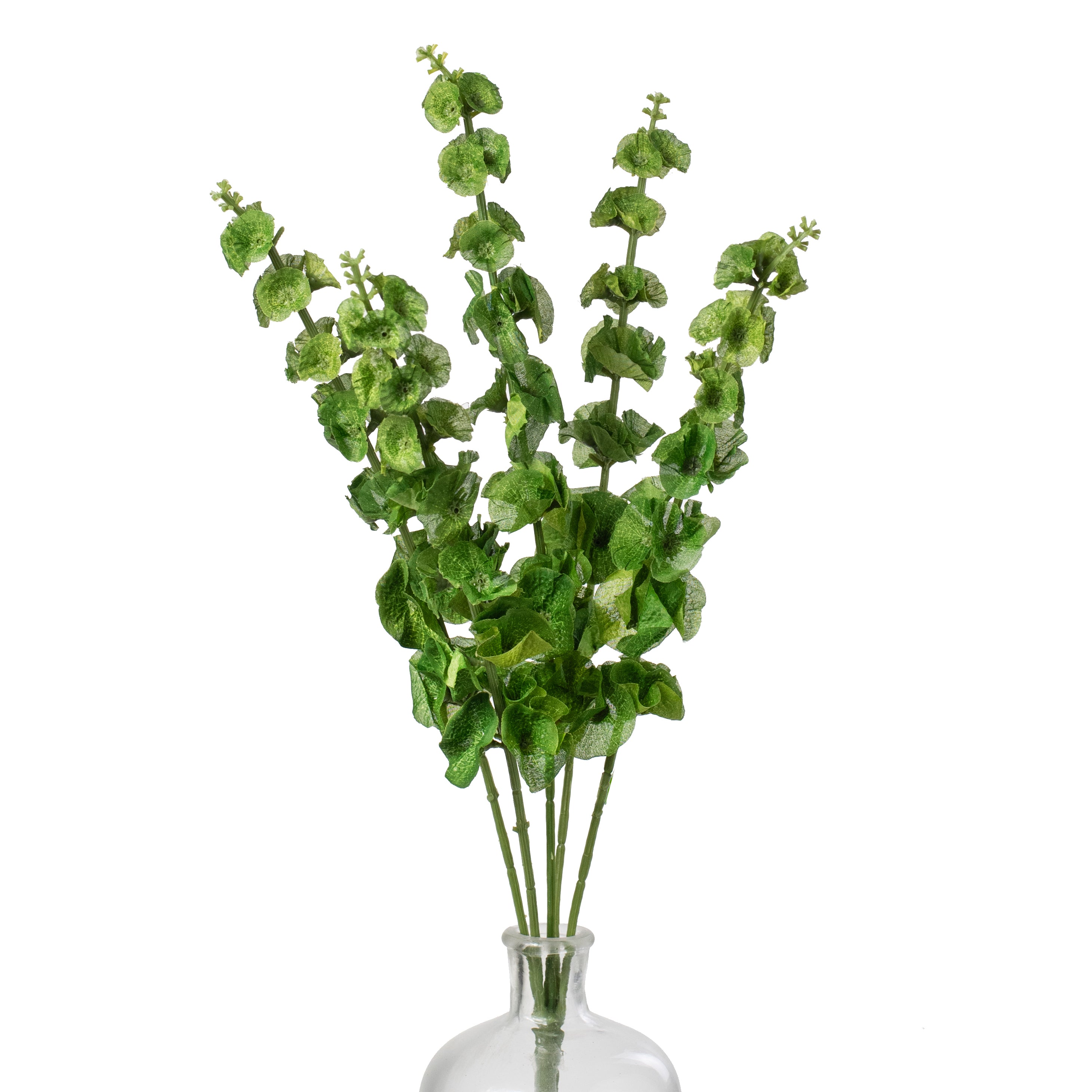23" Bells of Ireland Bush (5 Stem) Item Number: 35129GN