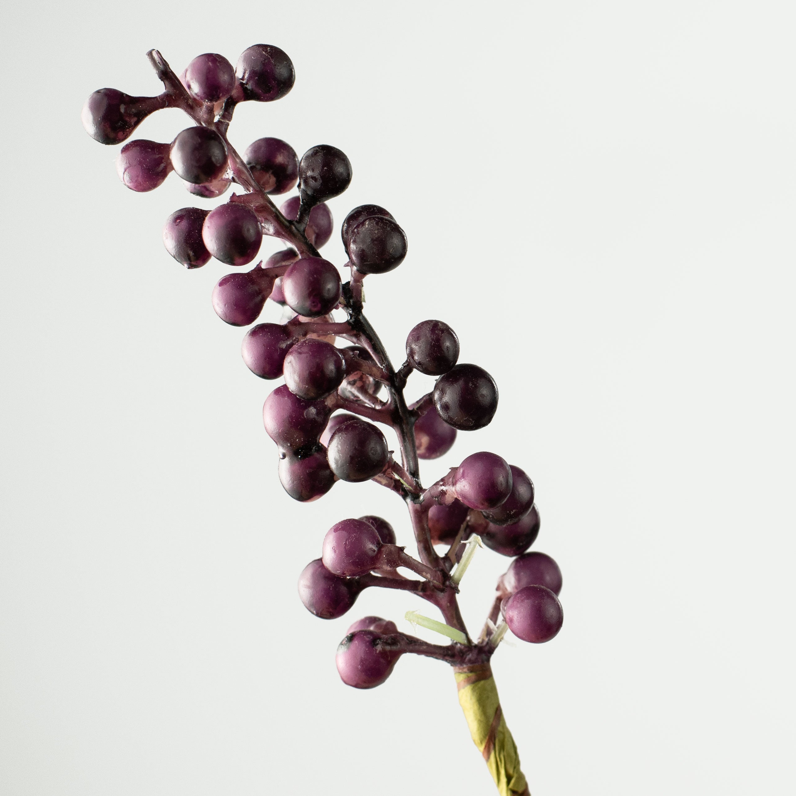 8.5'' Berry Bundle: Purple (12) Lifestyle Photo