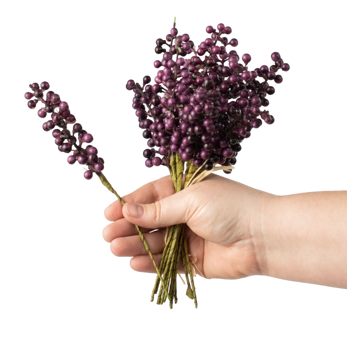 画材 berry Mixed Berry Fruit Leather