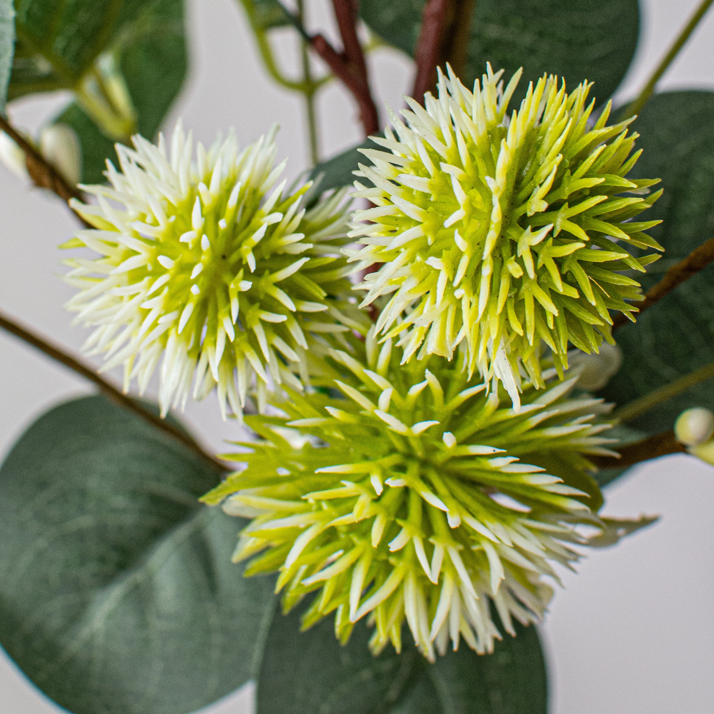 18" Berry Eucalyptus Spray: Cream Lifestyle Photo