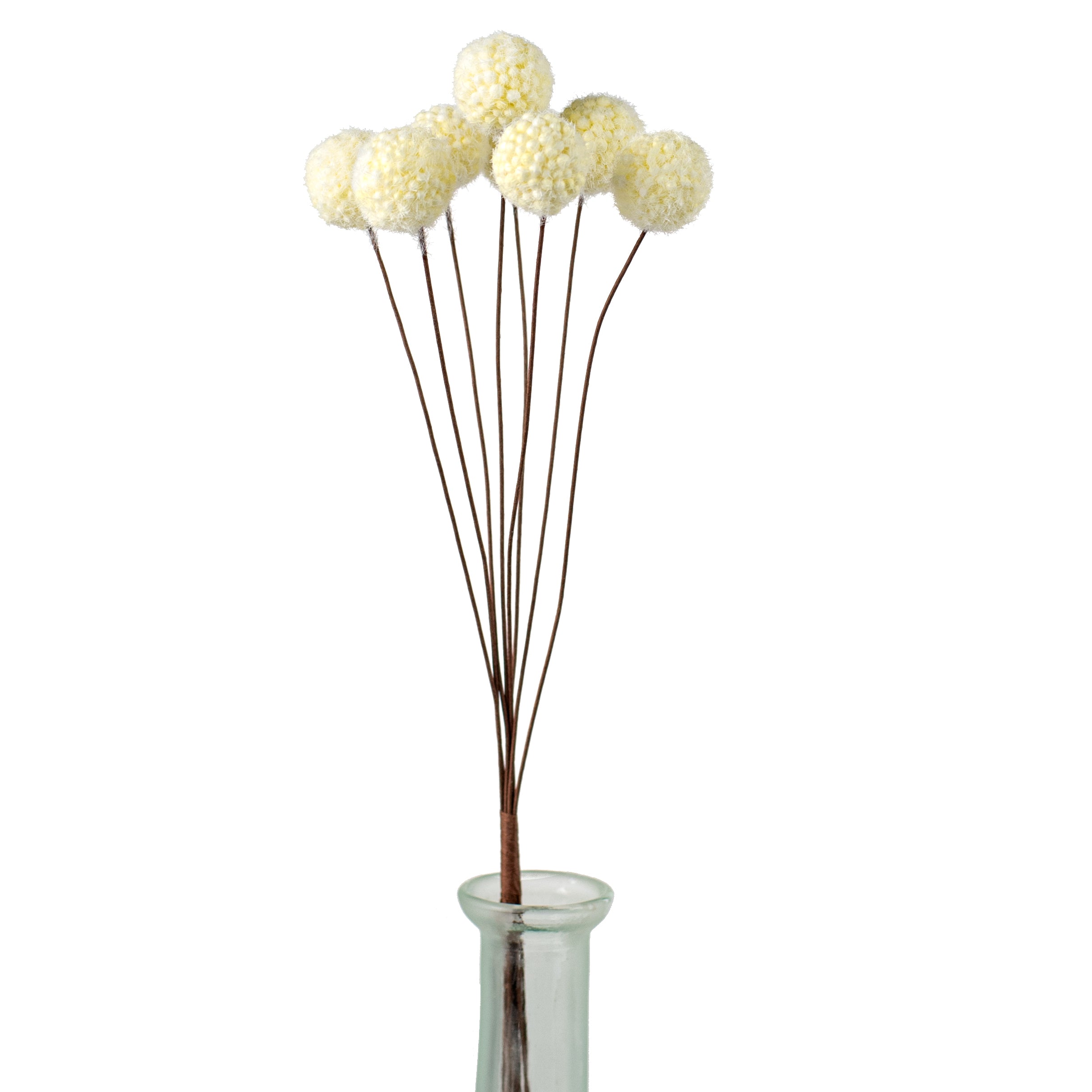 16" Billy Ball Bunch: Cream Item Number: ISB75871