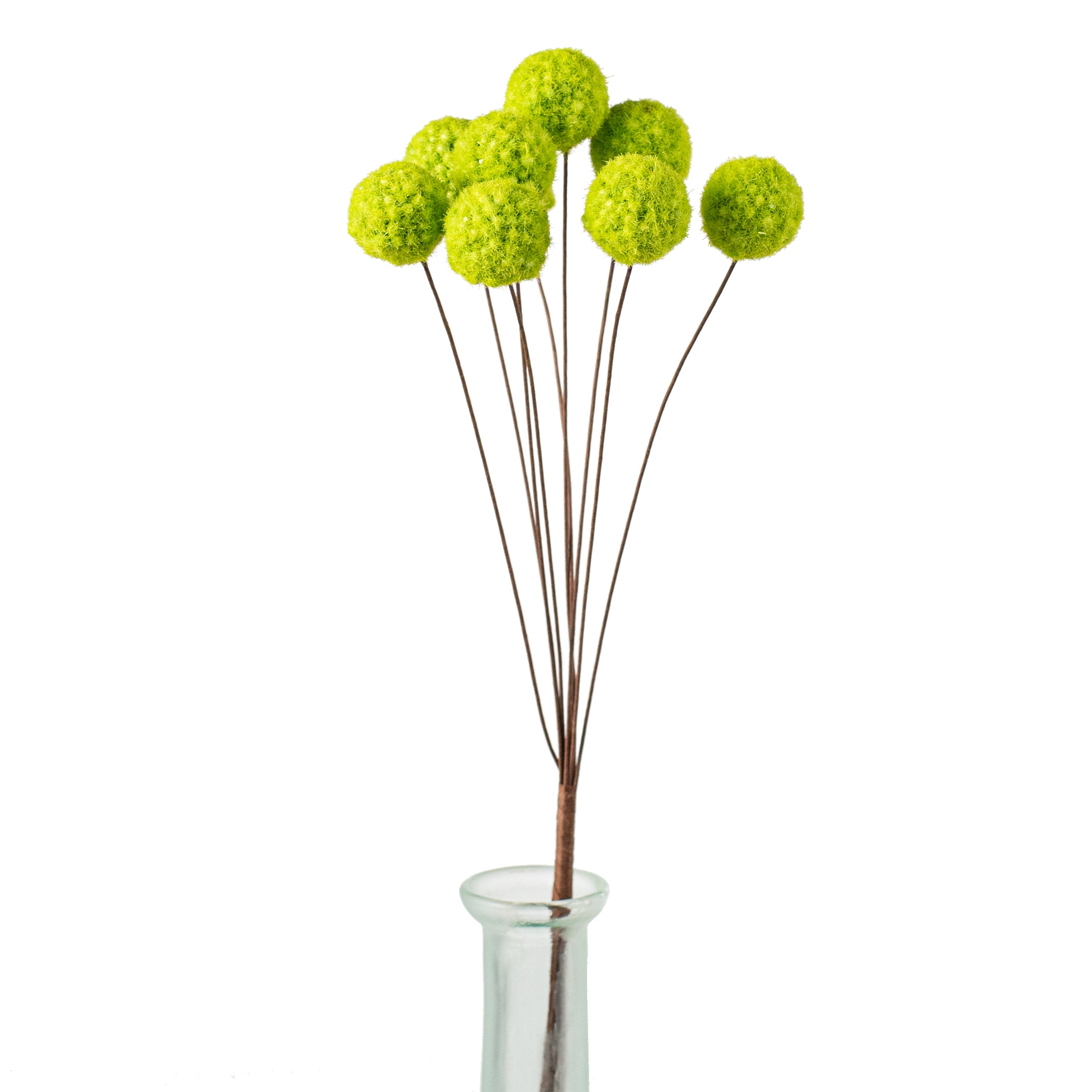 16" Billy Ball Bunch: Fresh Green Item Number: ISB75872