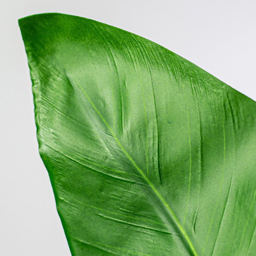 32" Bird of Paradise Leaf Stem Lifestyle Photo