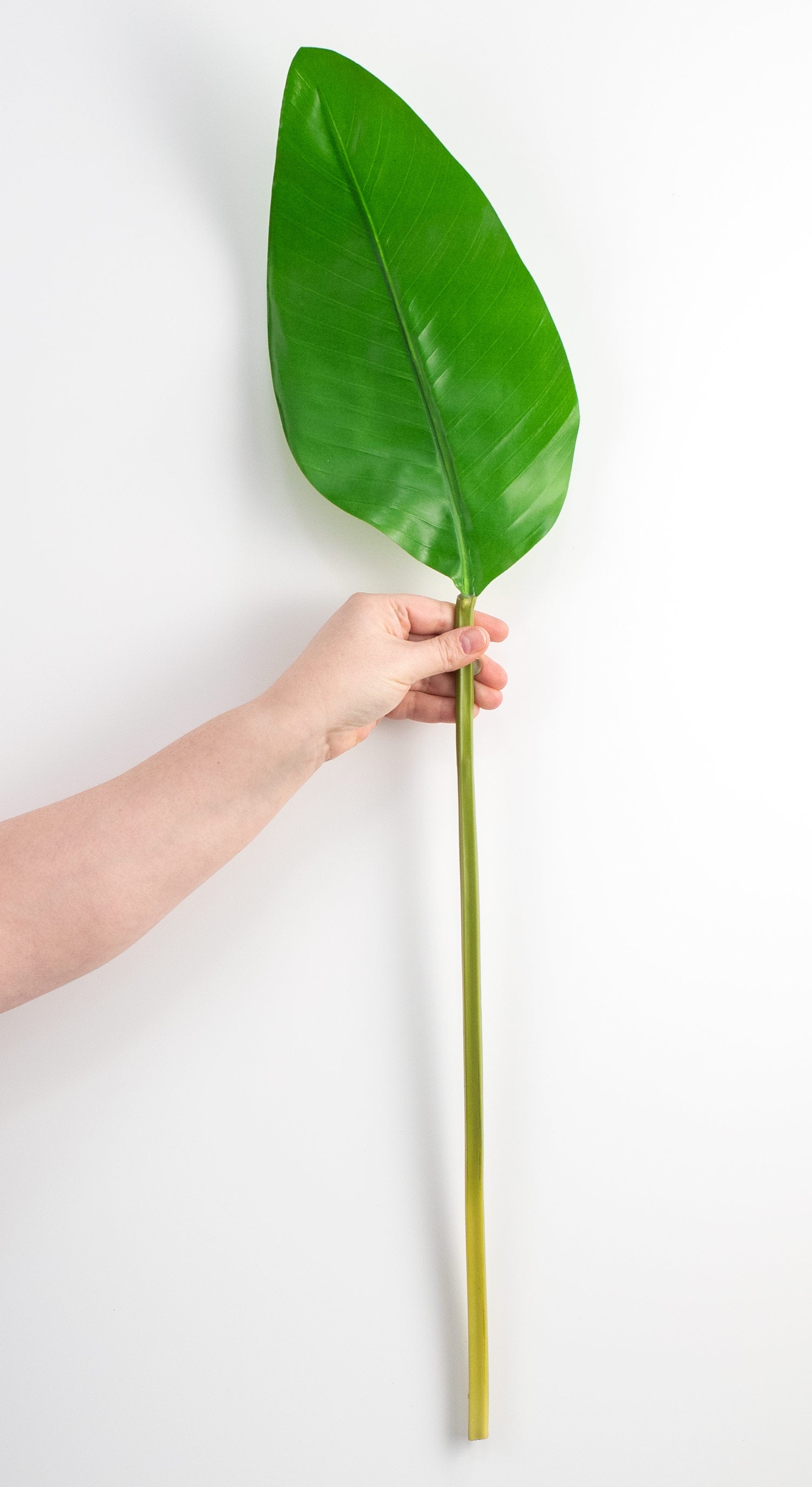 32" Bird of Paradise Leaf Stem detail photo 3