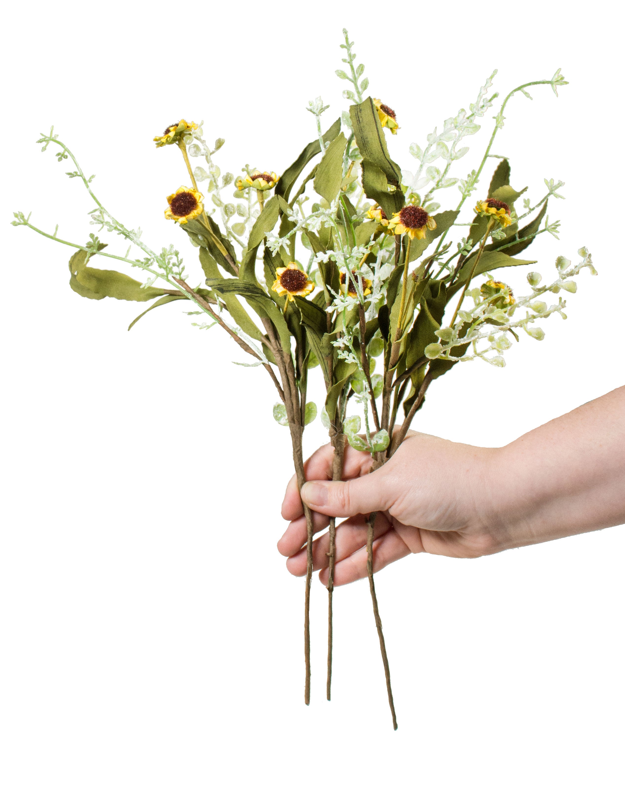 16" Birds Eye Daisy Picks (Set of 3) Lifestyle Photo