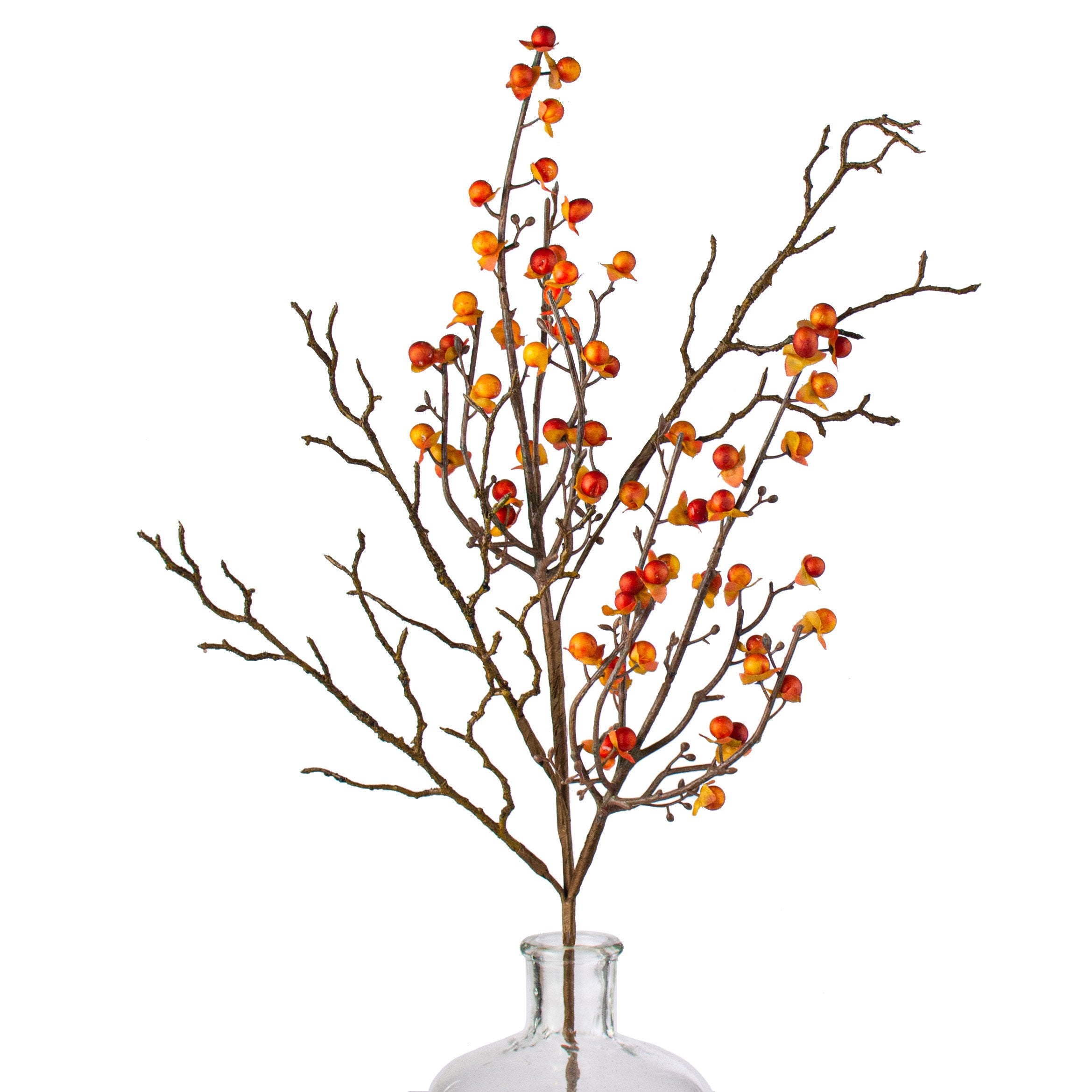 28" Bittersweet Berry Spray: Fall Item Number: 134570