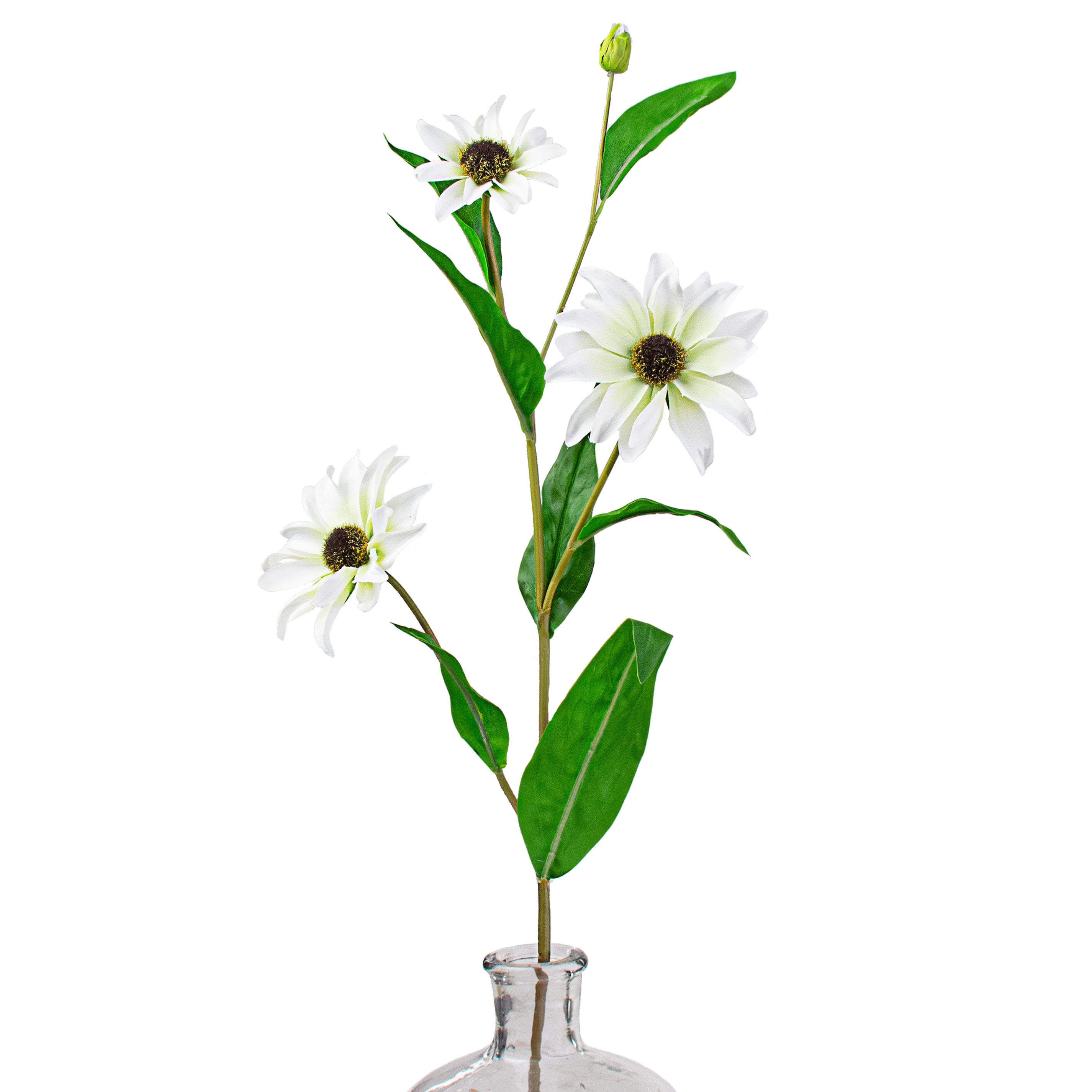 31" Black Eyed Susan: White Item Number: 2228012WH