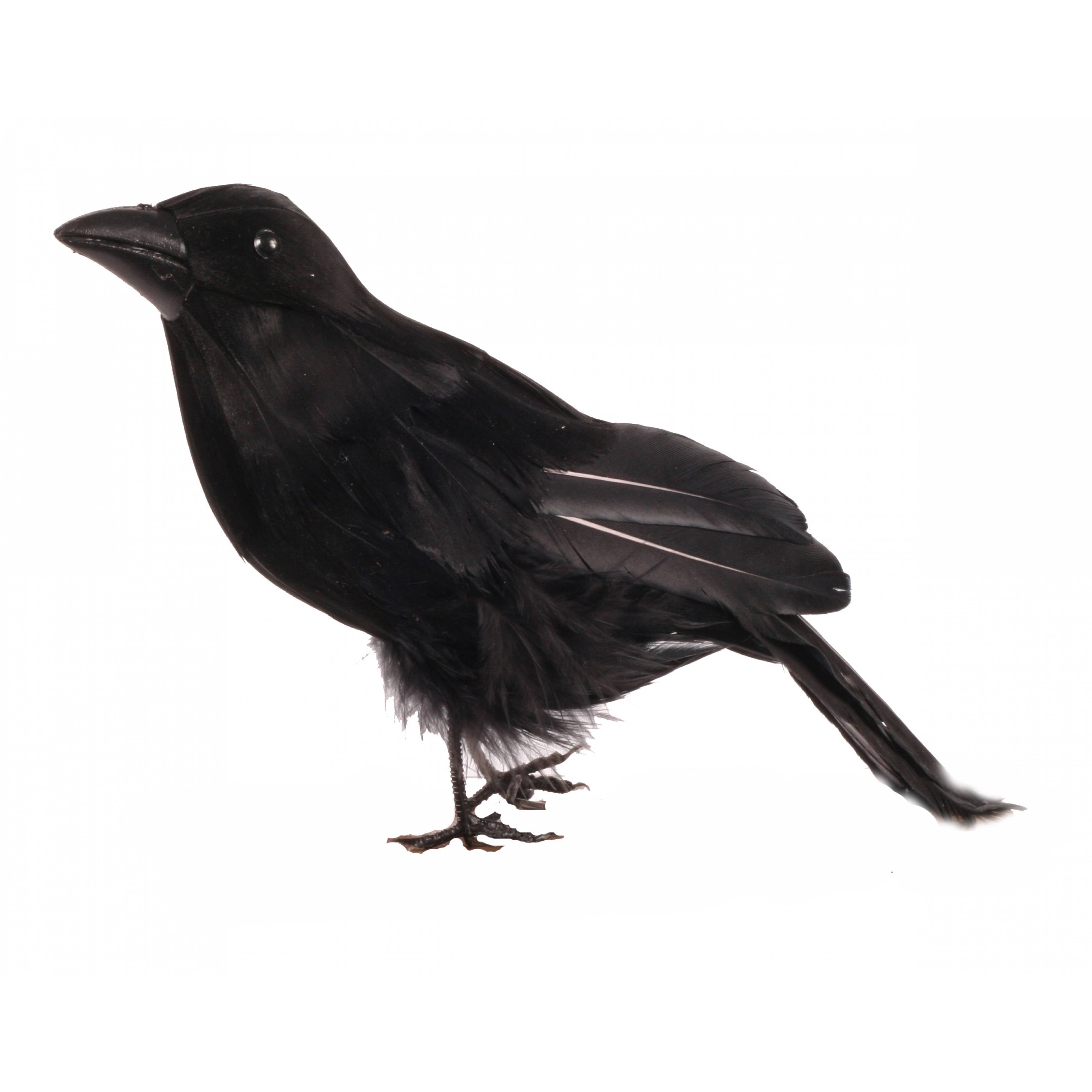 7.5" Black Feather Crow Item Number: MB0484