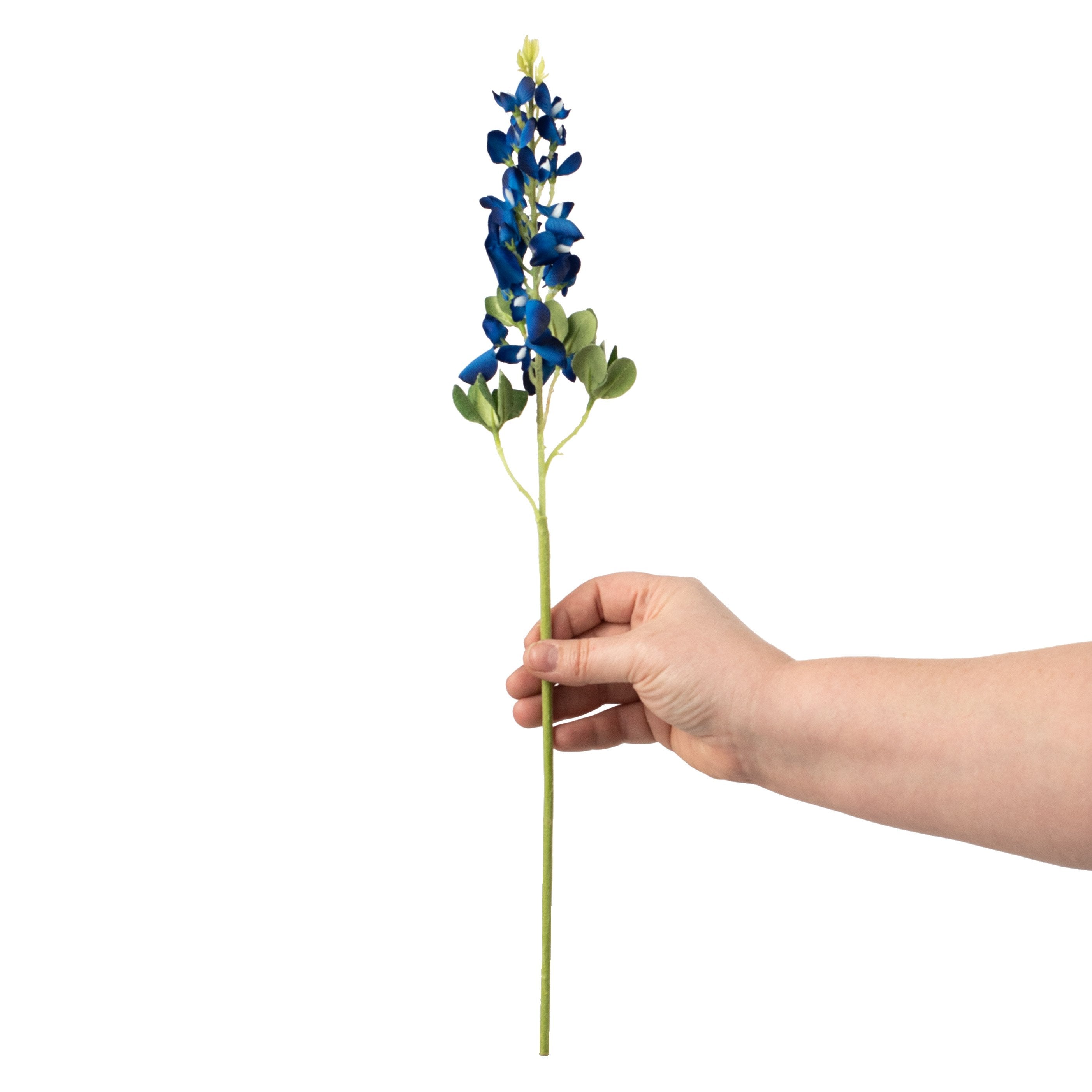 18" Bluebonnet Stem detail photo 3