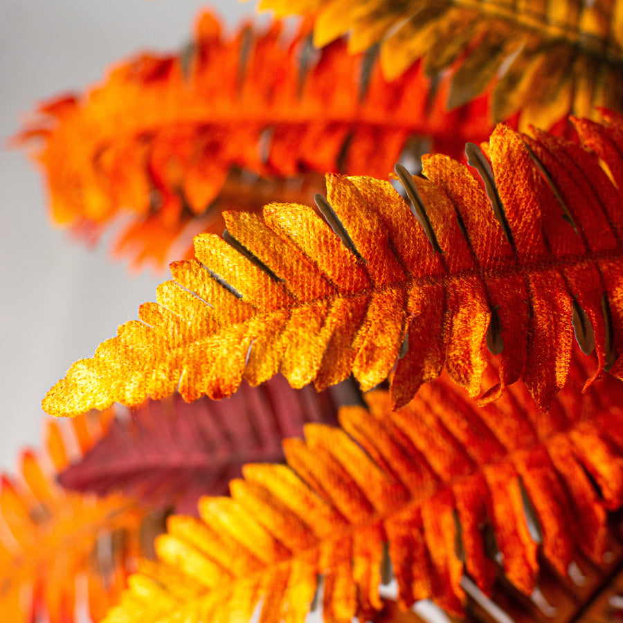 21" Boston Fern Bush: Orange & Yellow Lifestyle Photo