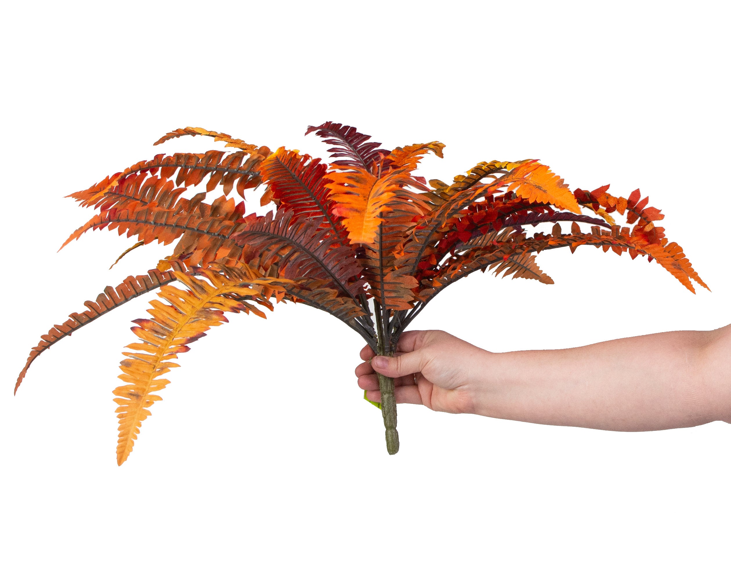 21" Boston Fern Bush: Orange & Yellow detail photo 4
