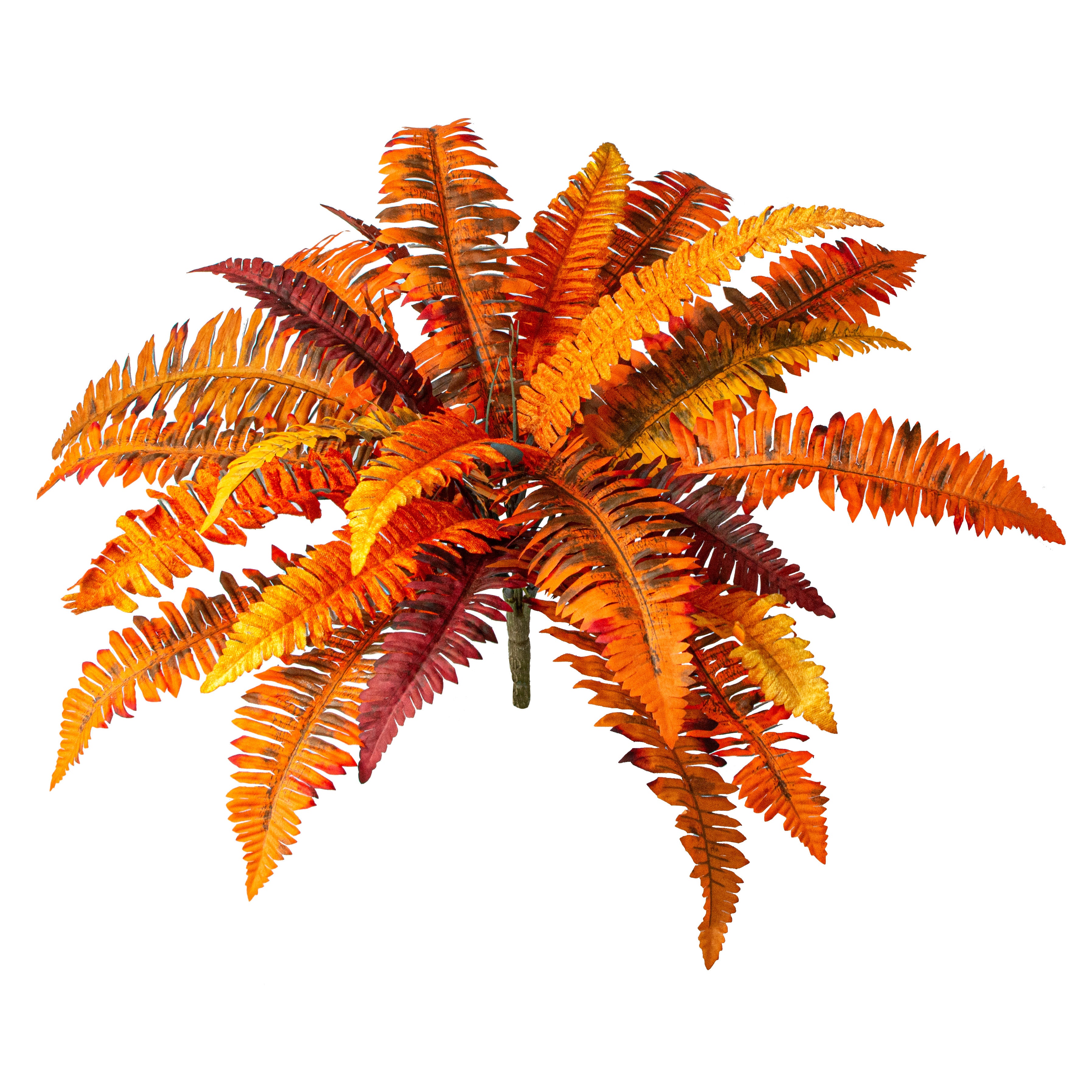 21" Boston Fern Bush: Orange & Yellow Item Number: 56864ORYW