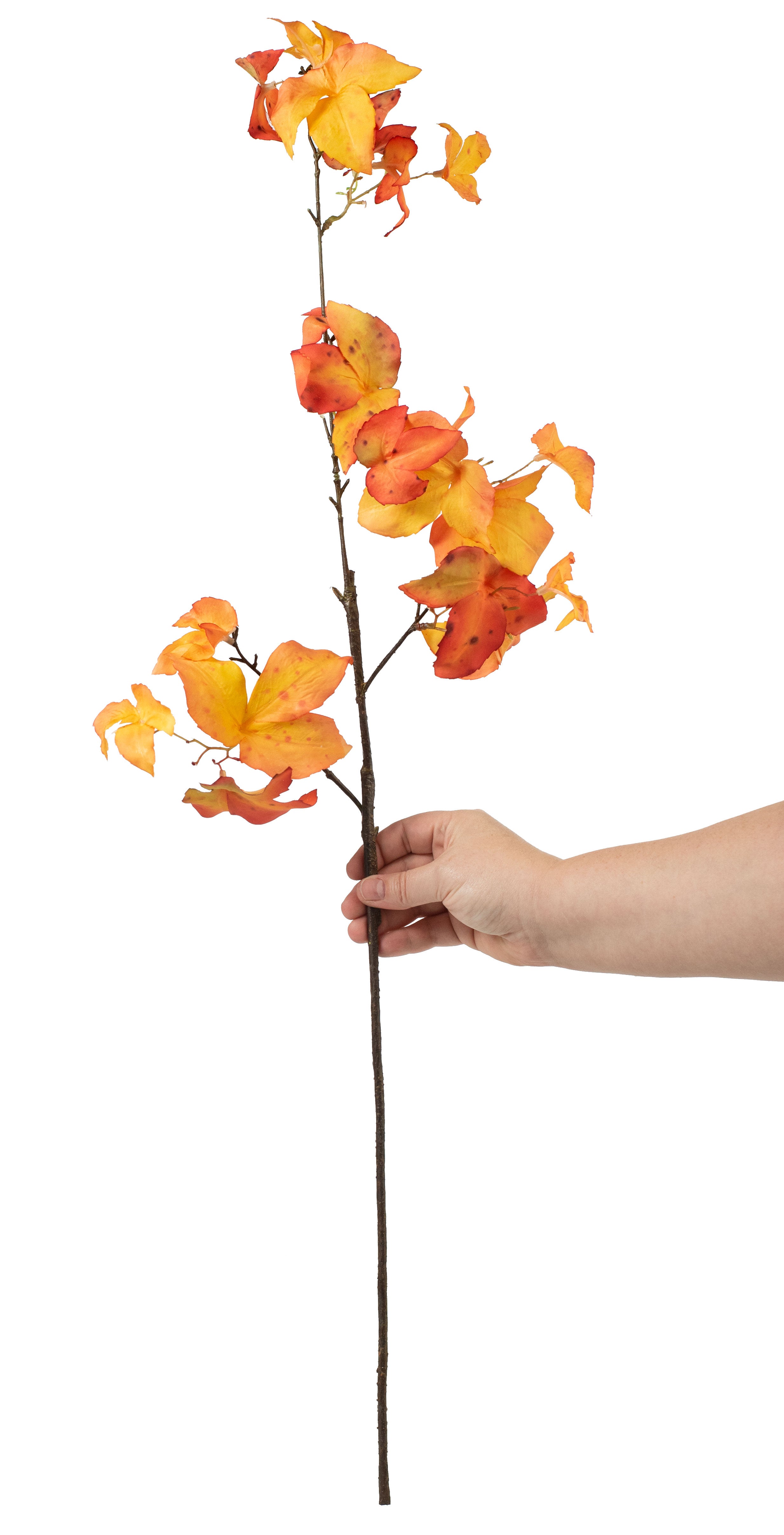 37" Boston Ivy Leaf Spray: Orange Lifestyle Photo
