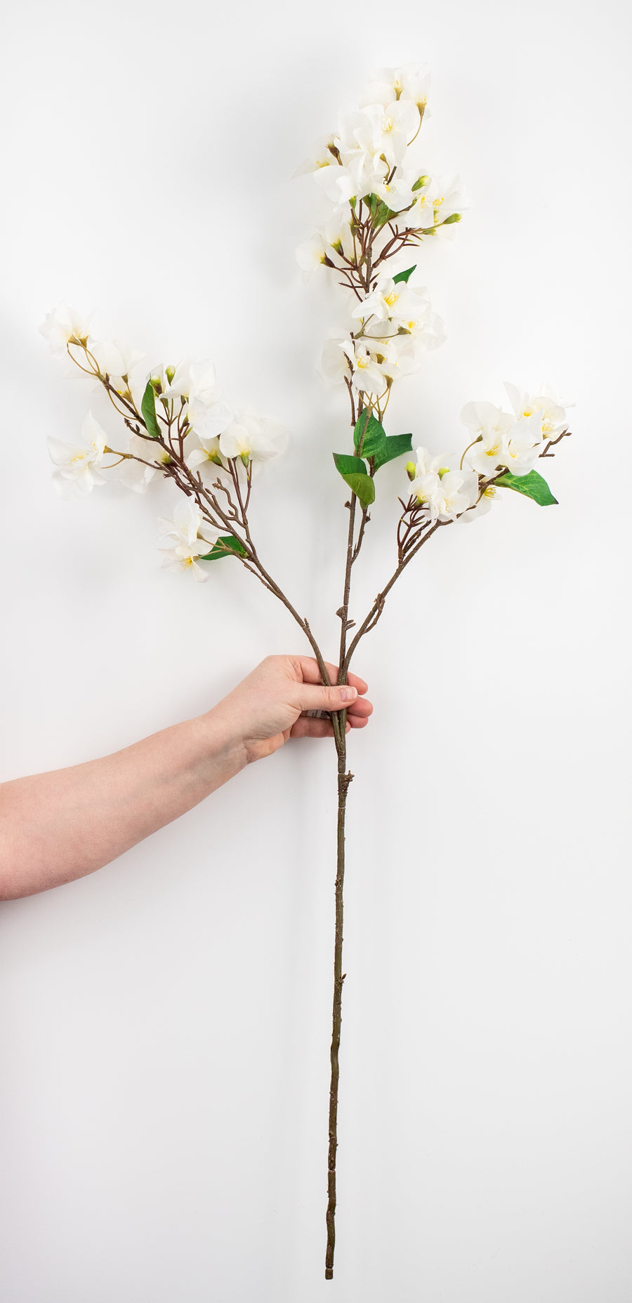 42" Bougainvillea Blossom Spray: Cream detail photo 3
