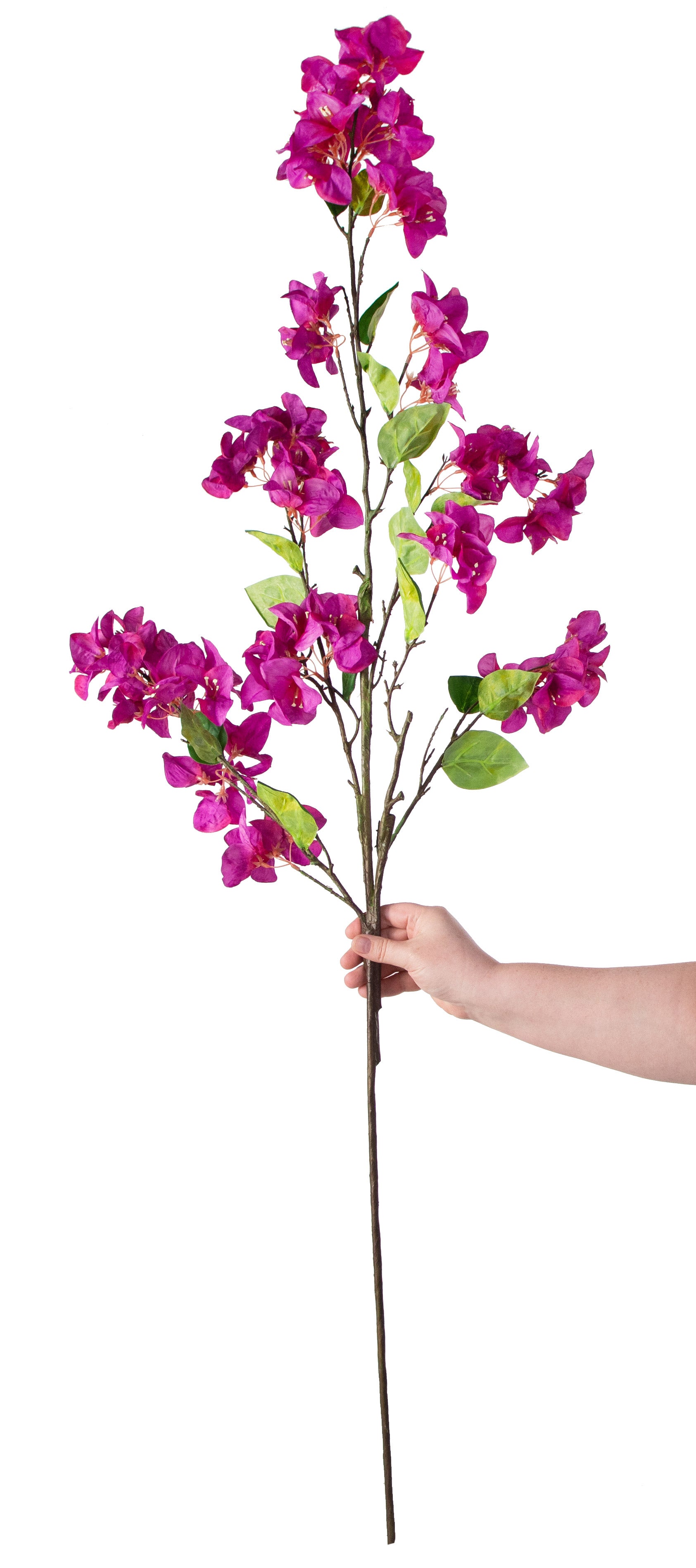 54" Bougainvillea Spray: Dark Fuchsia detail photo 3