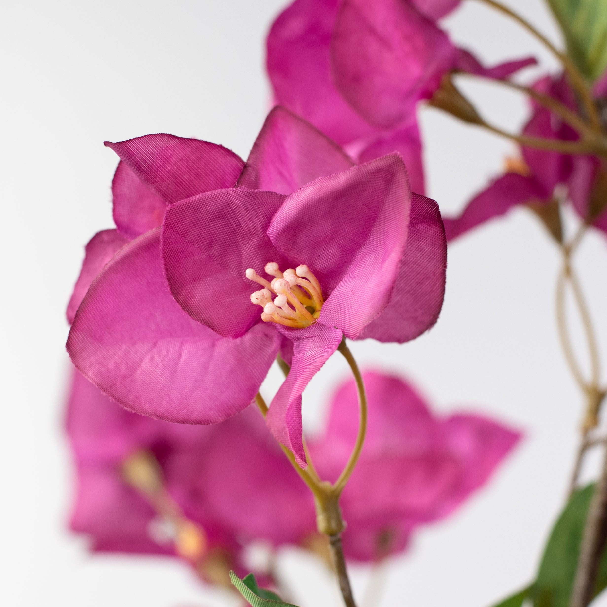 42" Bougainvillea Spray: Dark Fuchsia Pink Lifestyle Photo