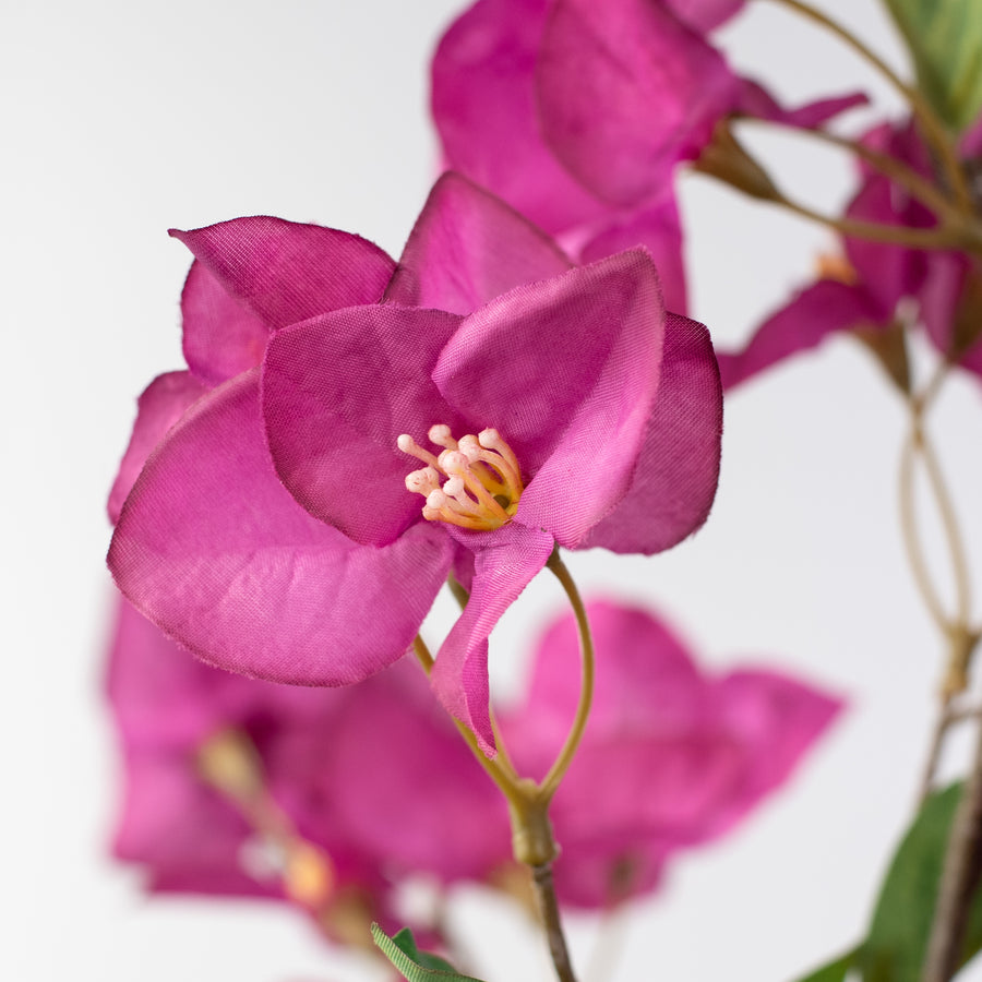 42" Bougainvillea Spray: Dark Fuchsia Pink Lifestyle Photo