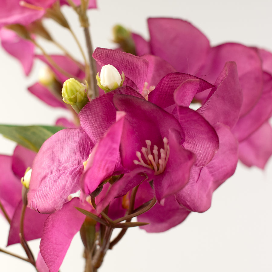 42" Bougainvillea Spray: Dark Fuchsia Pink detail photo 4