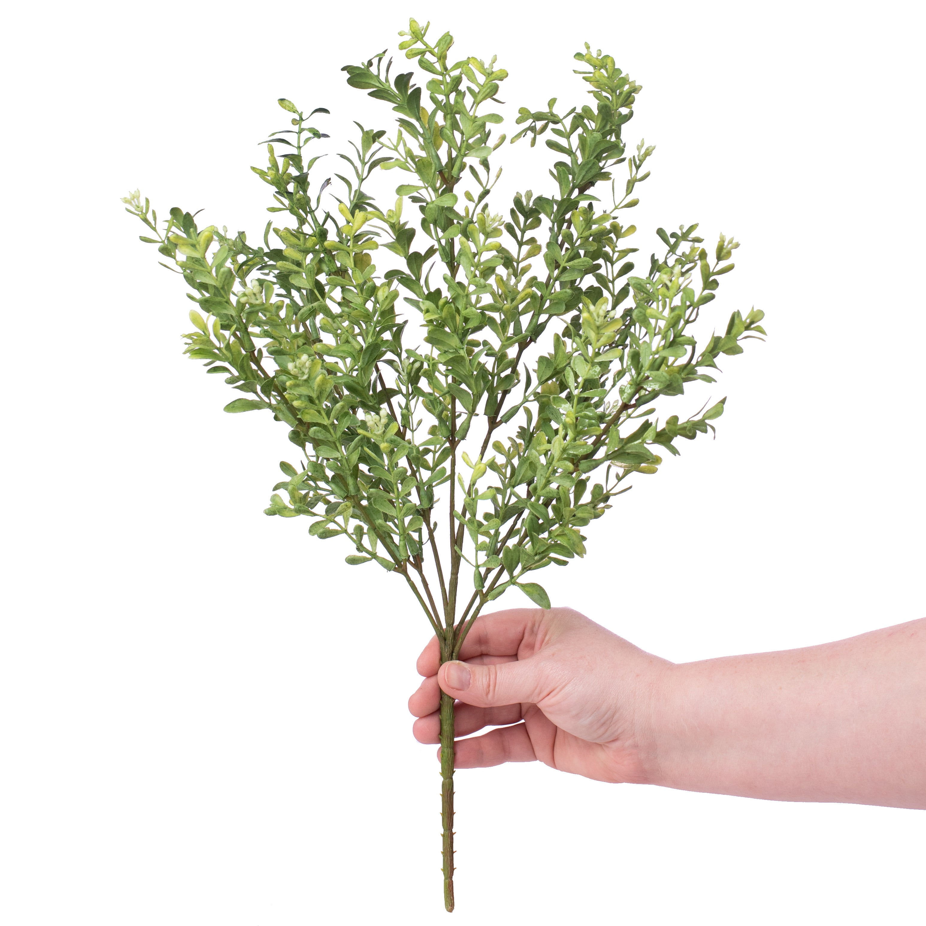 18" Boxwood Bush Lifestyle Photo