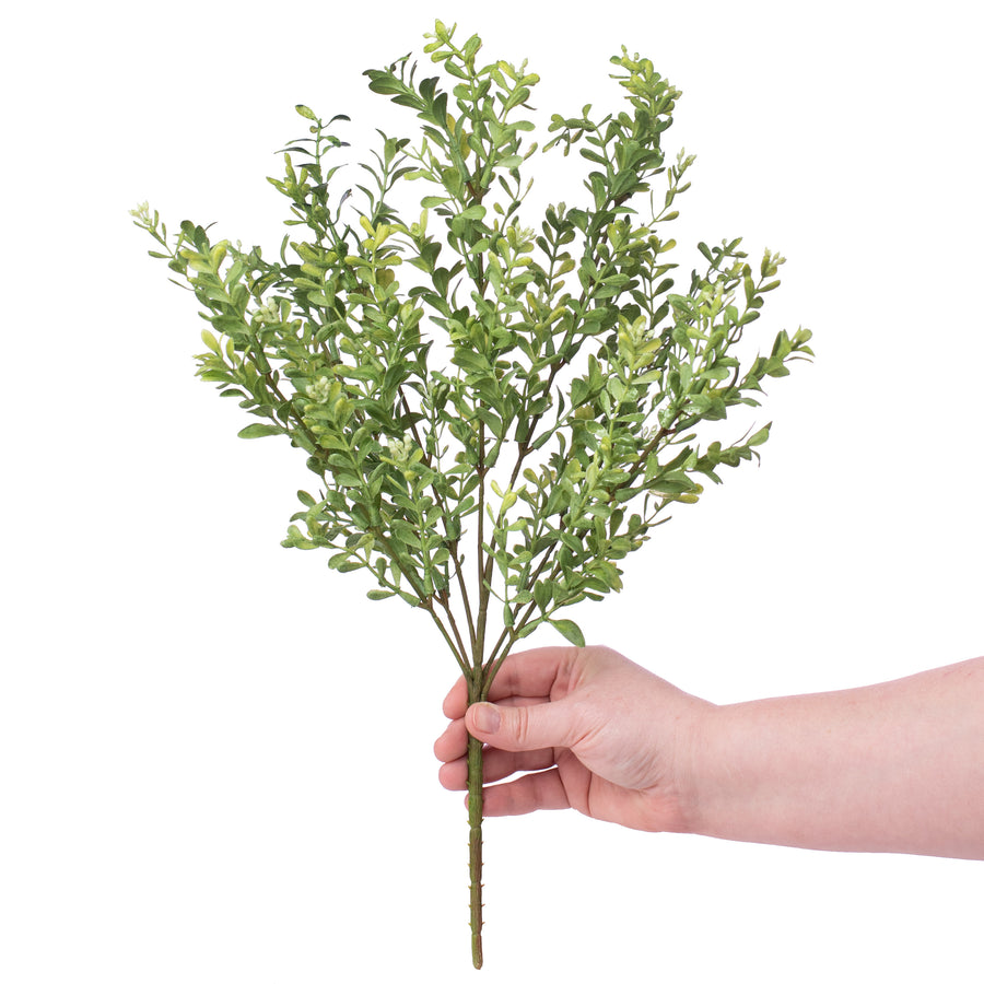18" Boxwood Bush Lifestyle Photo