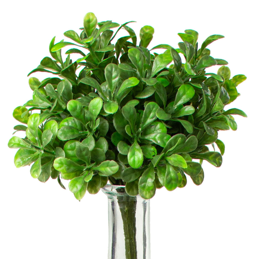 9'' Boxwood Bush Item Number: 2320133GR