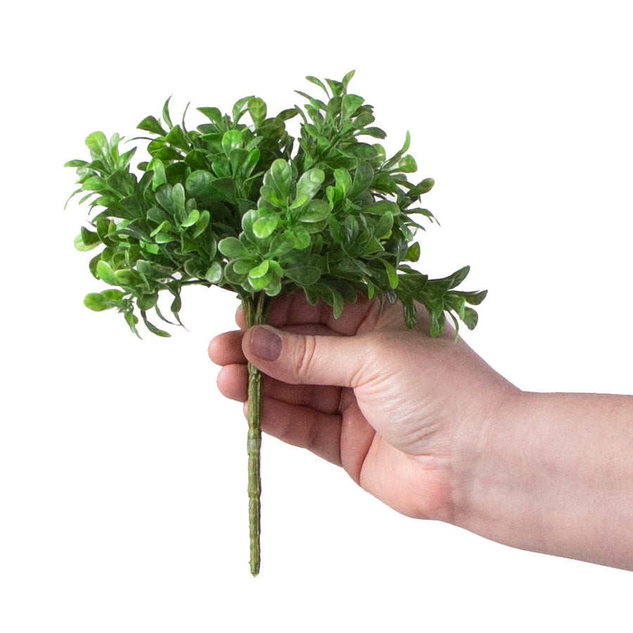 9'' Boxwood Bush detail photo 3