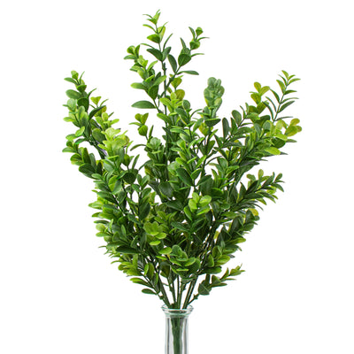 18" Boxwood Bush Item Number: 82818