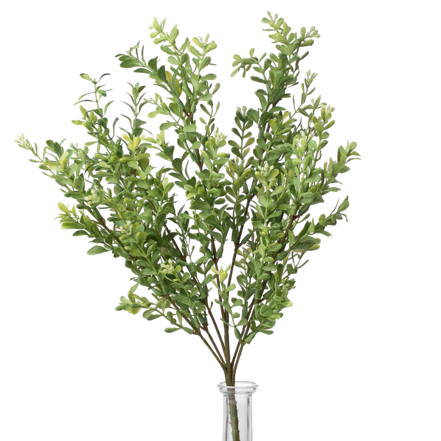 18" Boxwood Bush Item Number: PF1673