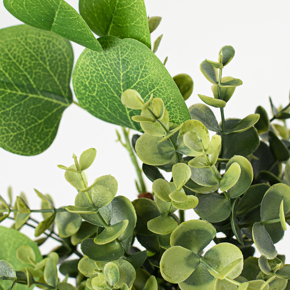 18" Boxwood and Eucalyptus Pick Lifestyle Photo