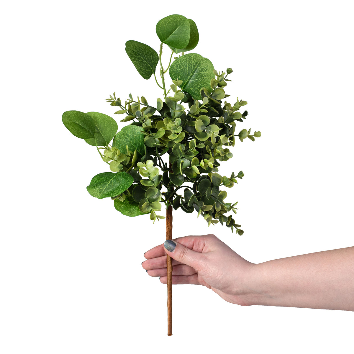 18" Boxwood and Eucalyptus Pick detail photo 3