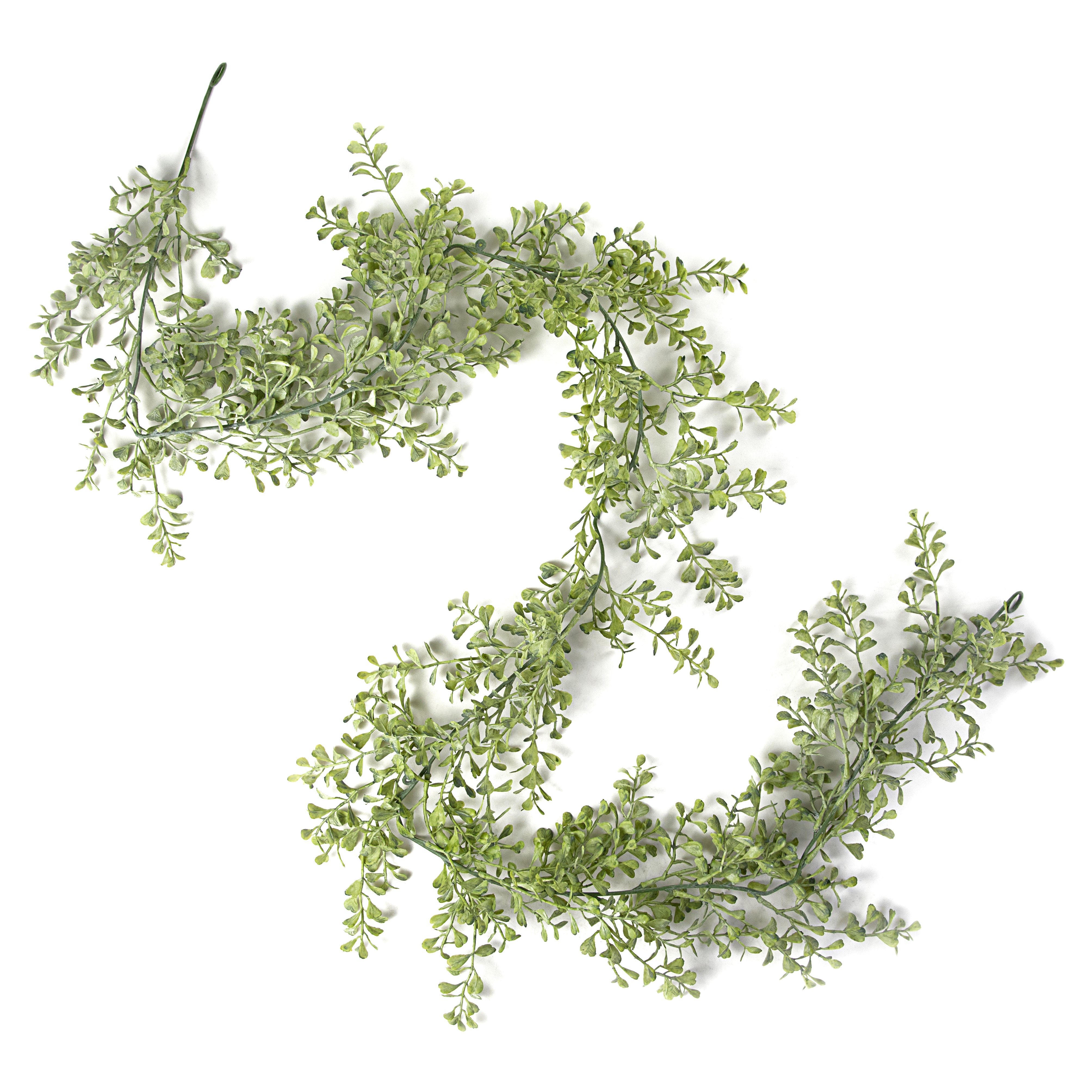 64" Boxwood Garland Item Number: 266697