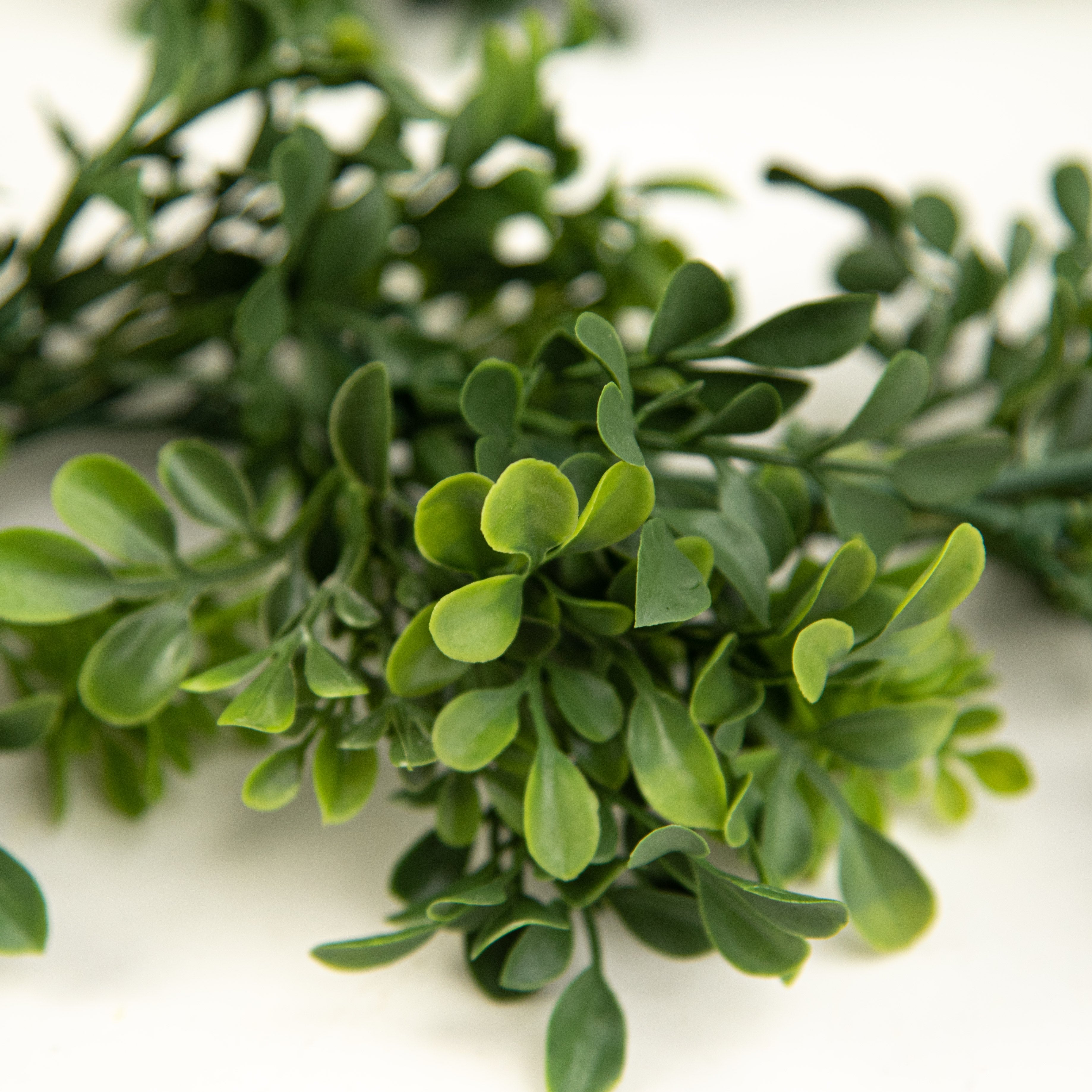6' Boxwood Garland detail photo 3