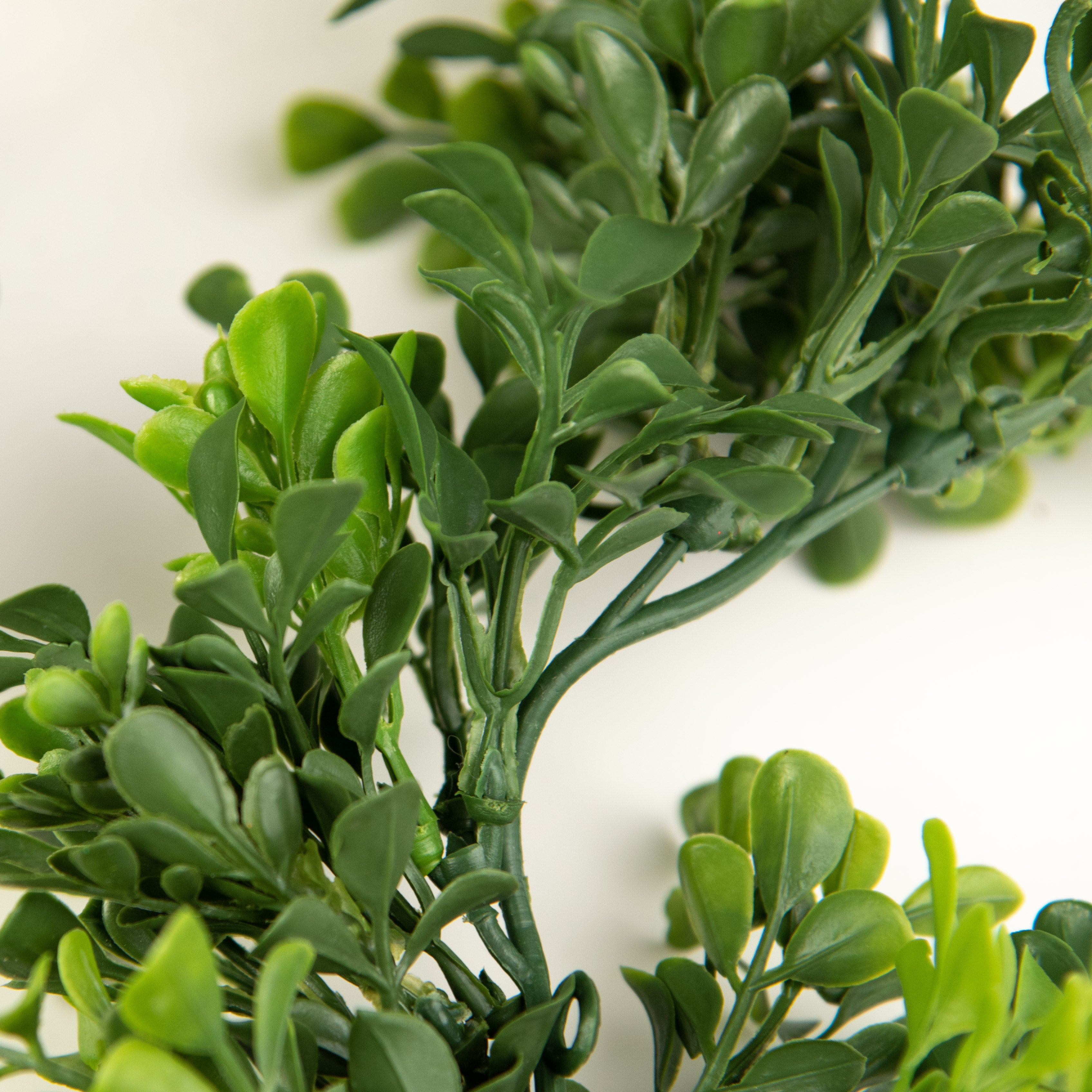 6' Boxwood Garland detail photo 4