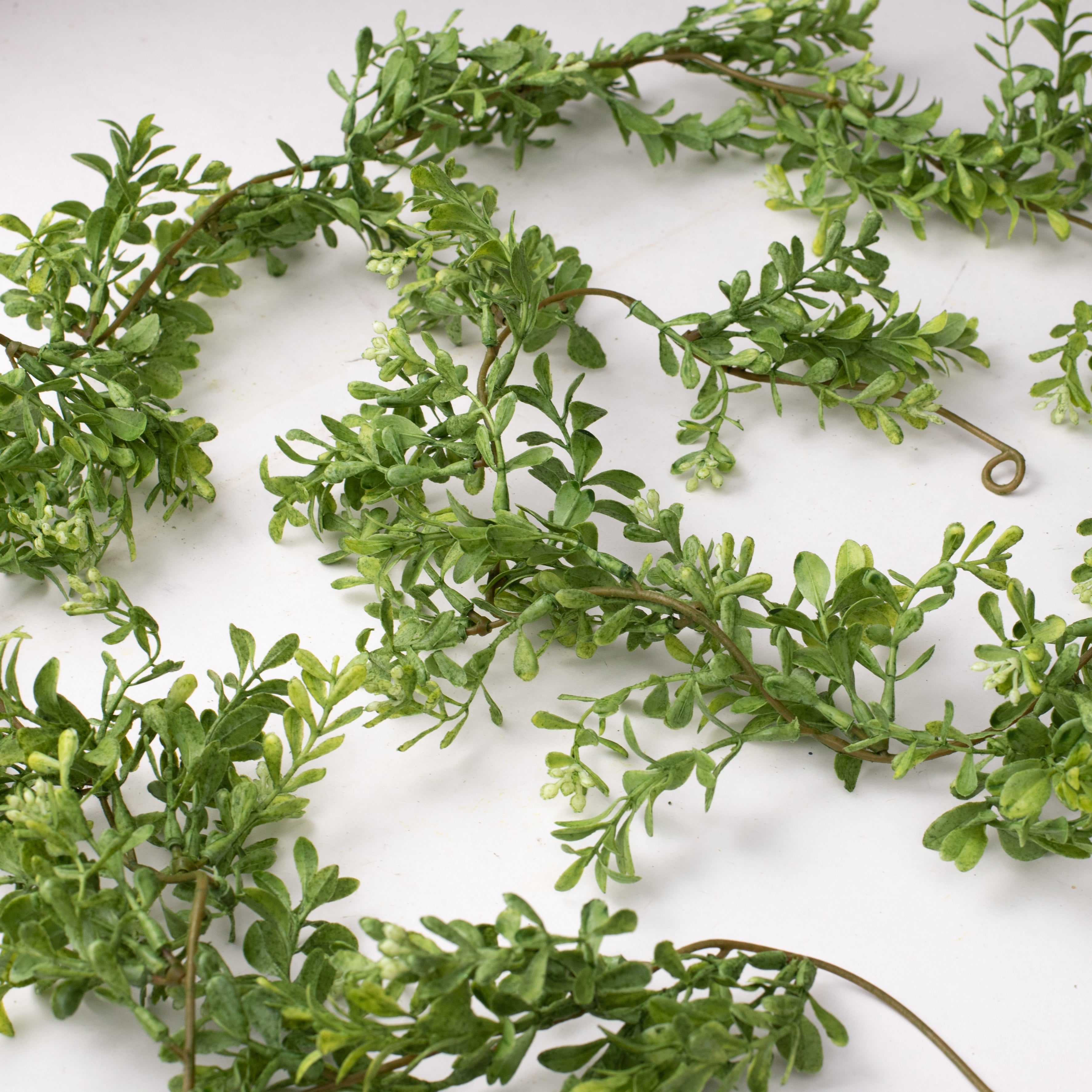 6' Boxwood Greenery Garland Lifestyle Photo