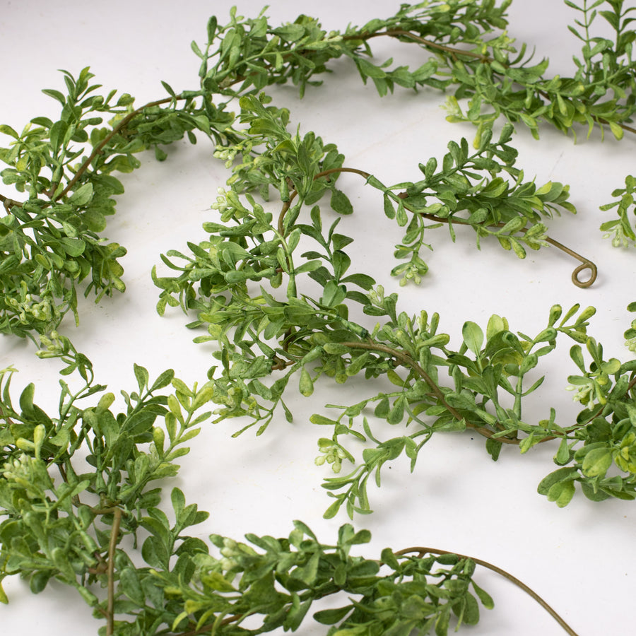 6' Boxwood Greenery Garland Lifestyle Photo