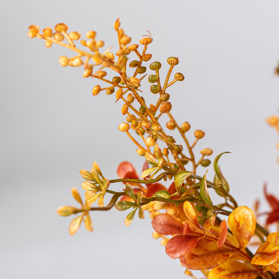 20" Boxwood Sedum Bush: Yellow & Brown Lifestyle Photo