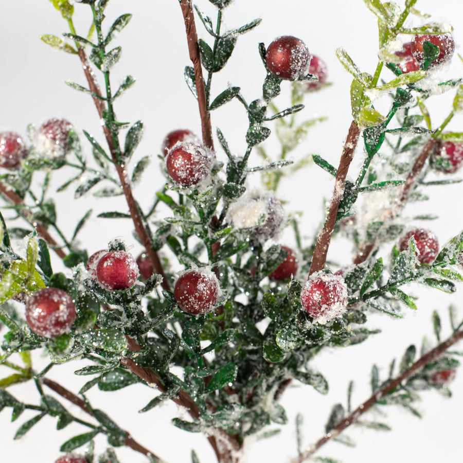 21" Boxwood Snow Berry Spray Lifestyle Photo