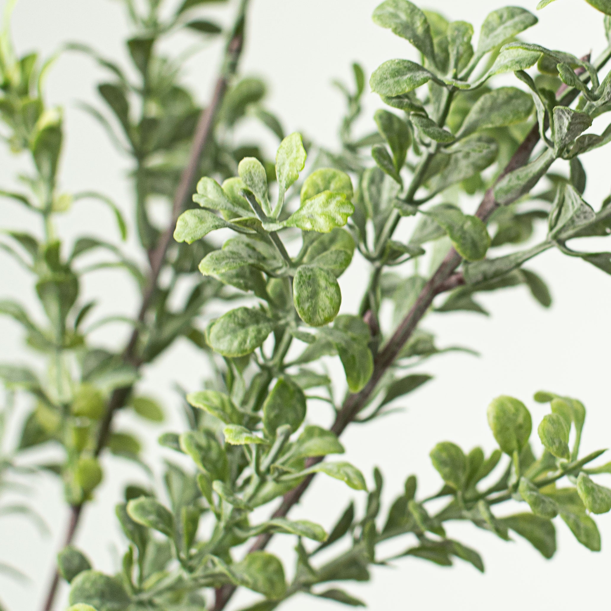 26" Boxwood Spray Lifestyle Photo