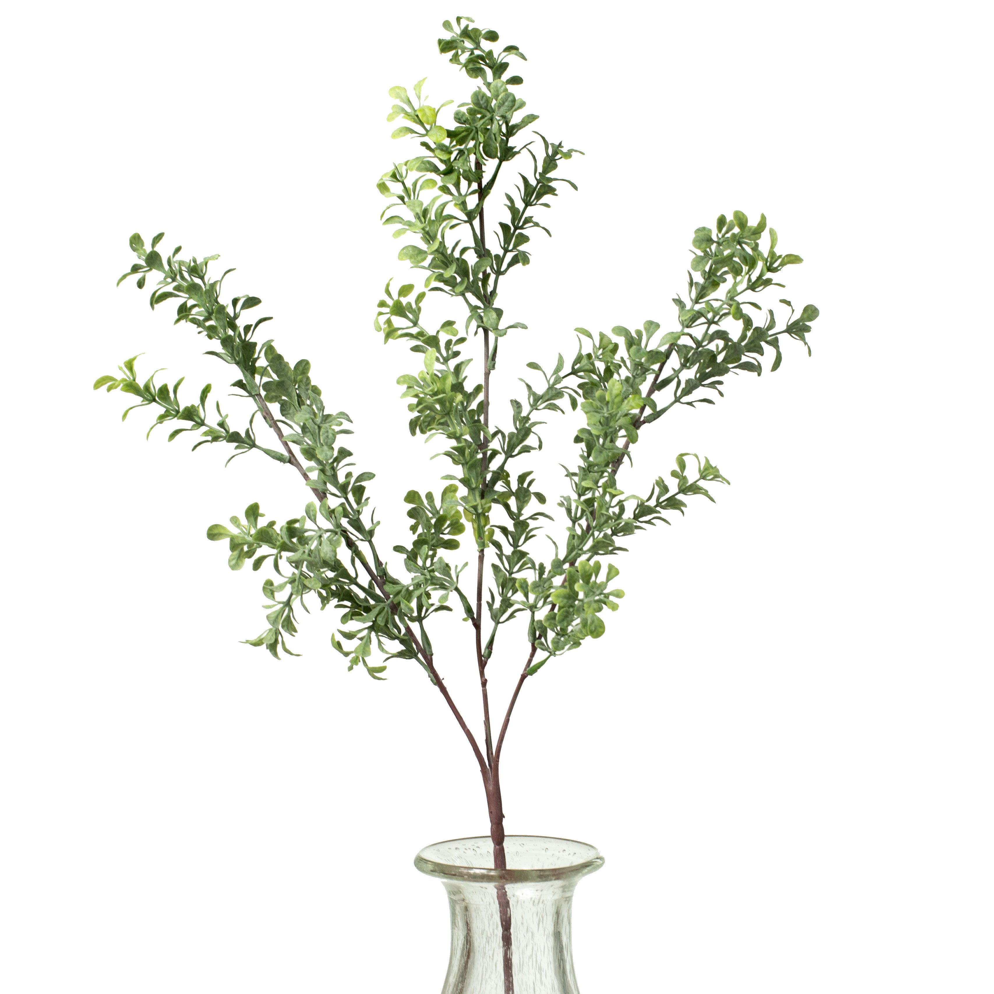 26" Boxwood Spray Item Number: 287489
