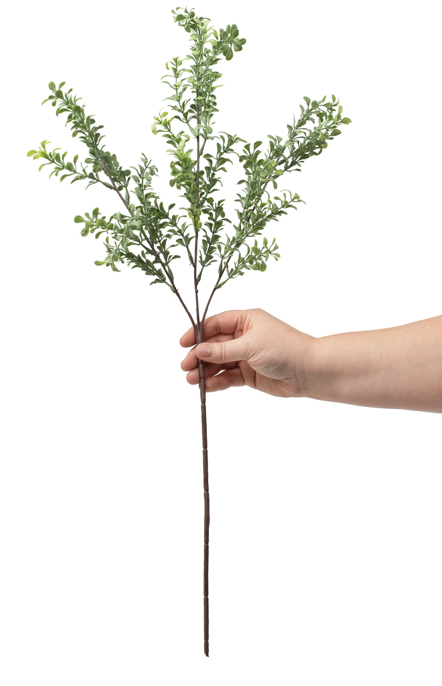 26" Boxwood Spray detail photo 3