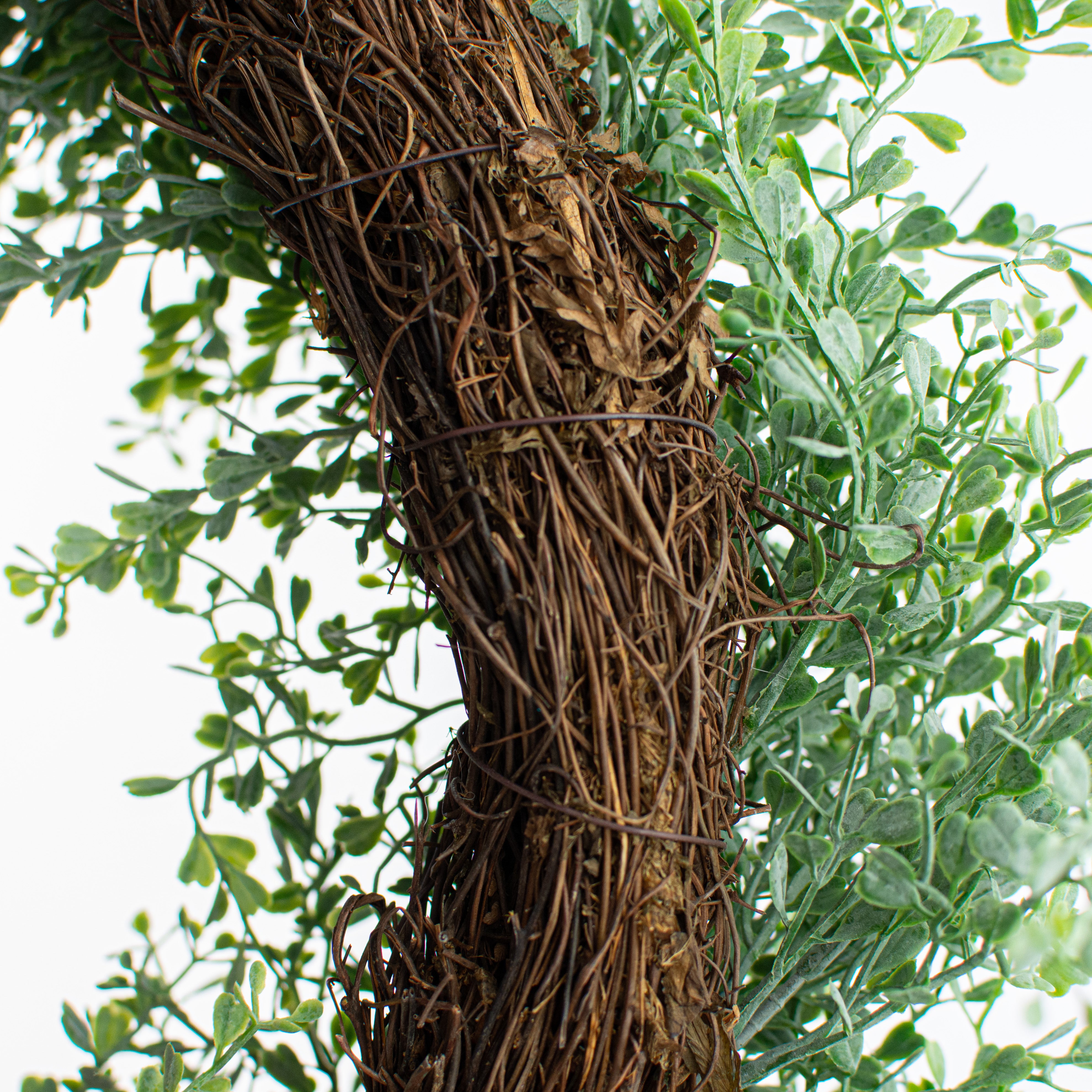 22" Boxwood Wreath: Dusty Green detail photo 3