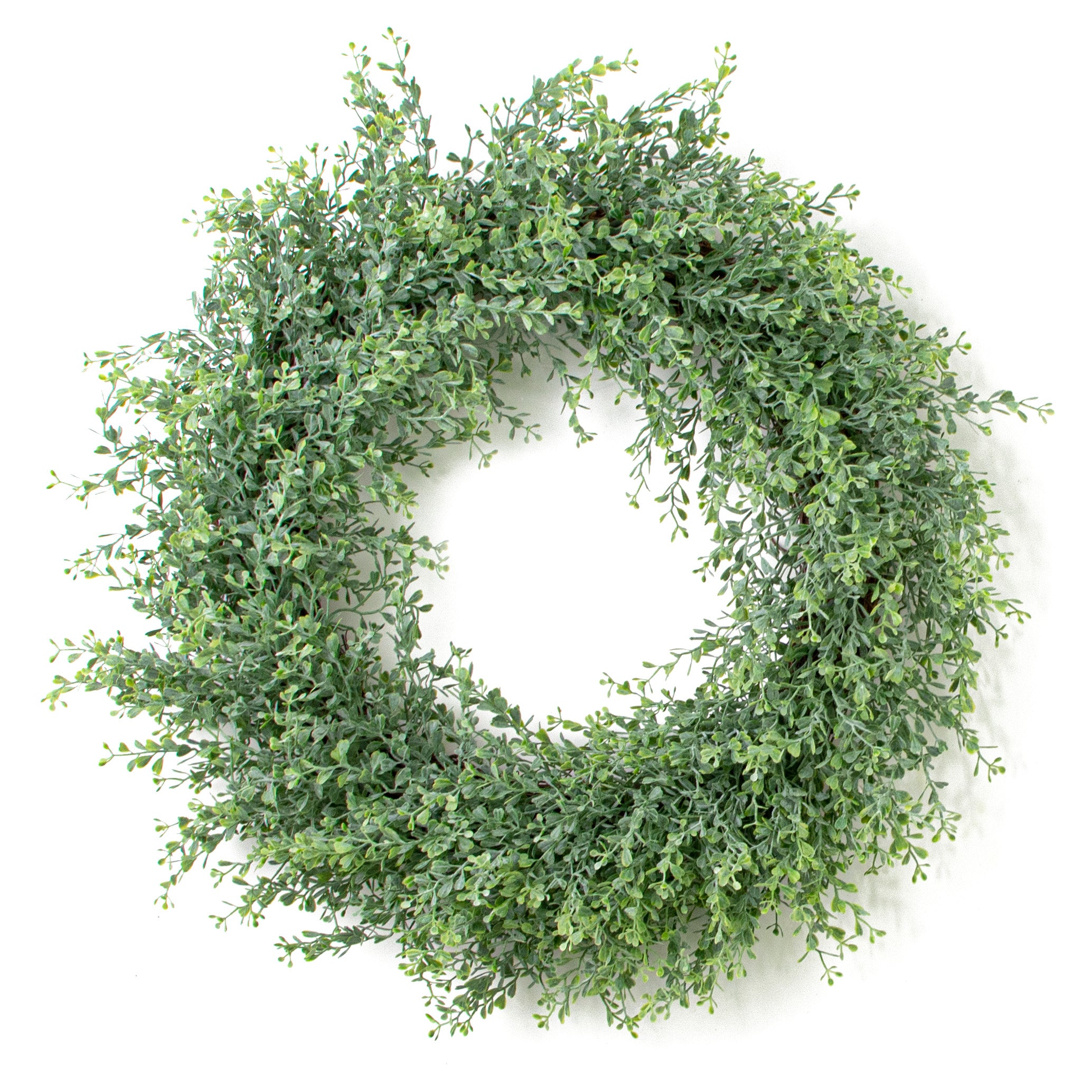 22" Boxwood Wreath: Dusty Green Item Number: FR660343
