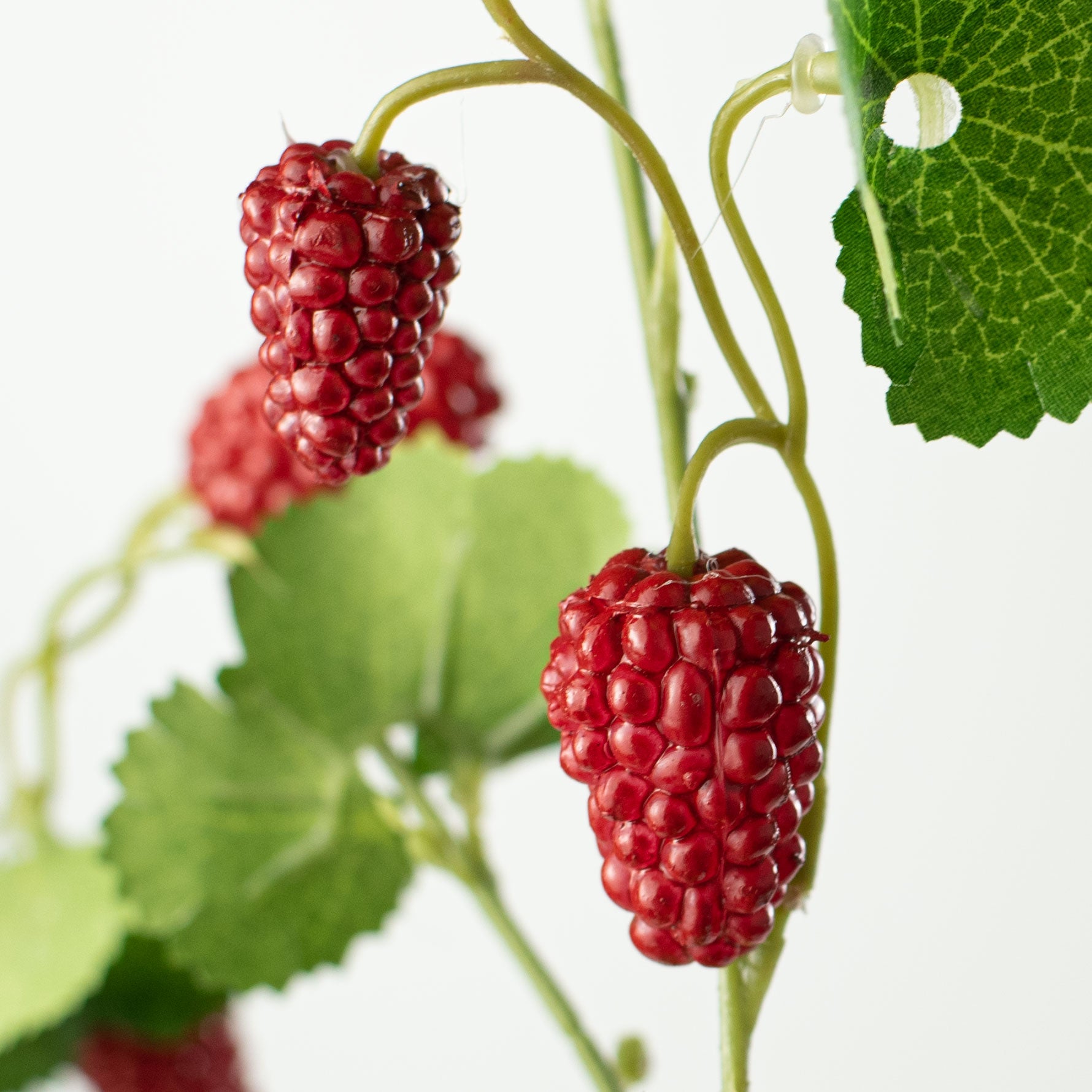25" Boysenberry Spray: Red Lifestyle Photo