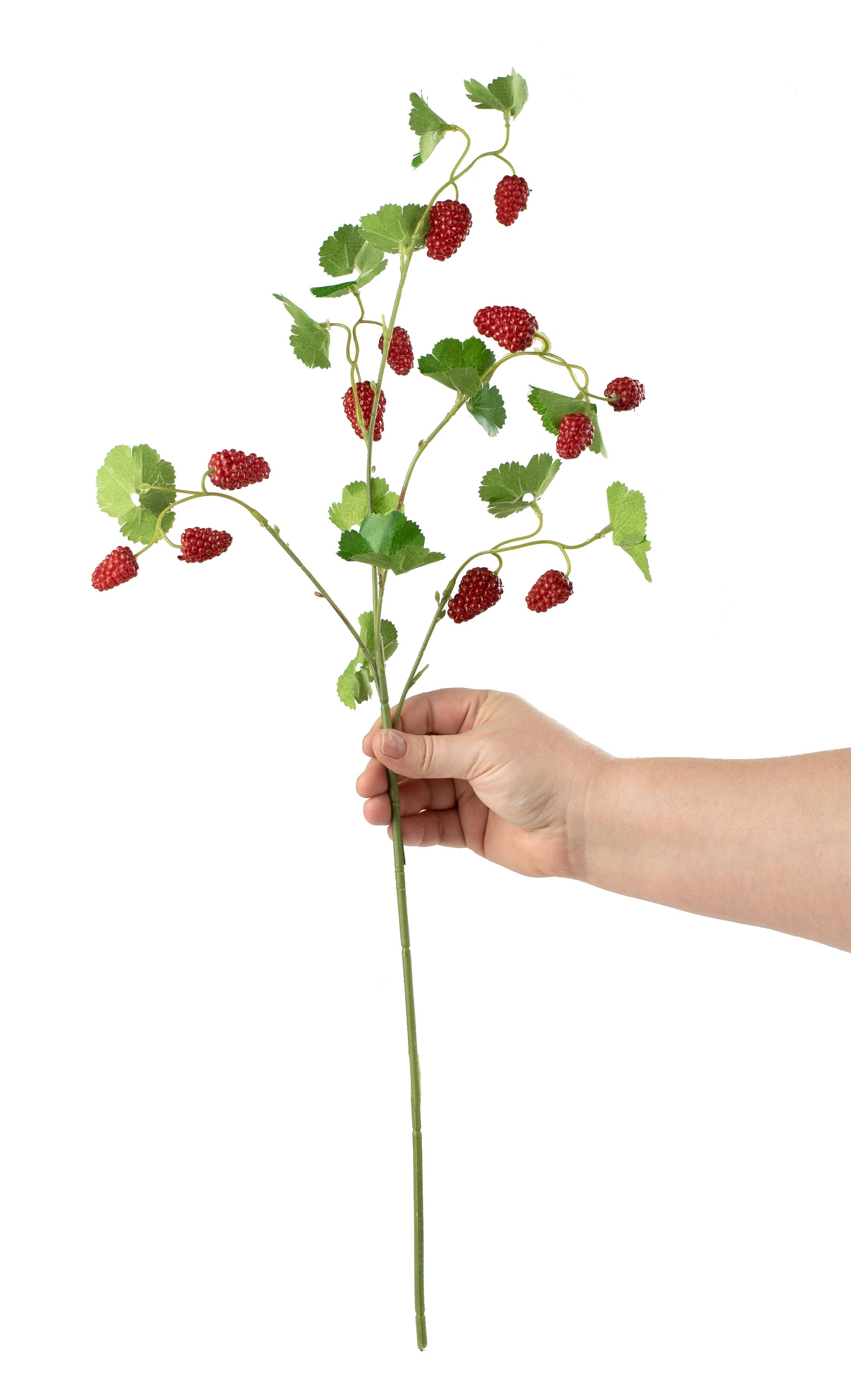 25" Boysenberry Spray: Red detail photo 3