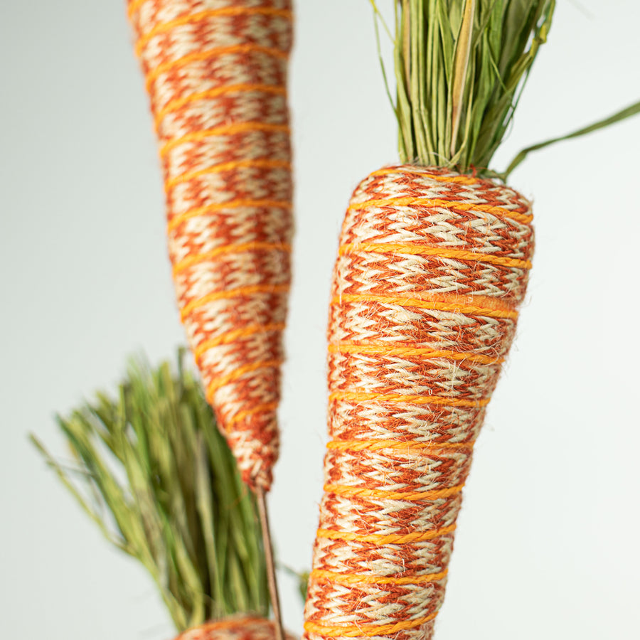 29" Braided Twine Carrot Spray Lifestyle Photo