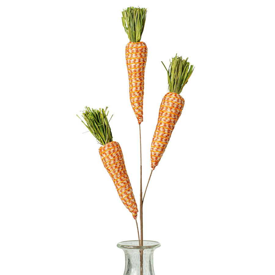 29" Braided Twine Carrot Spray Item Number: 62532OR
