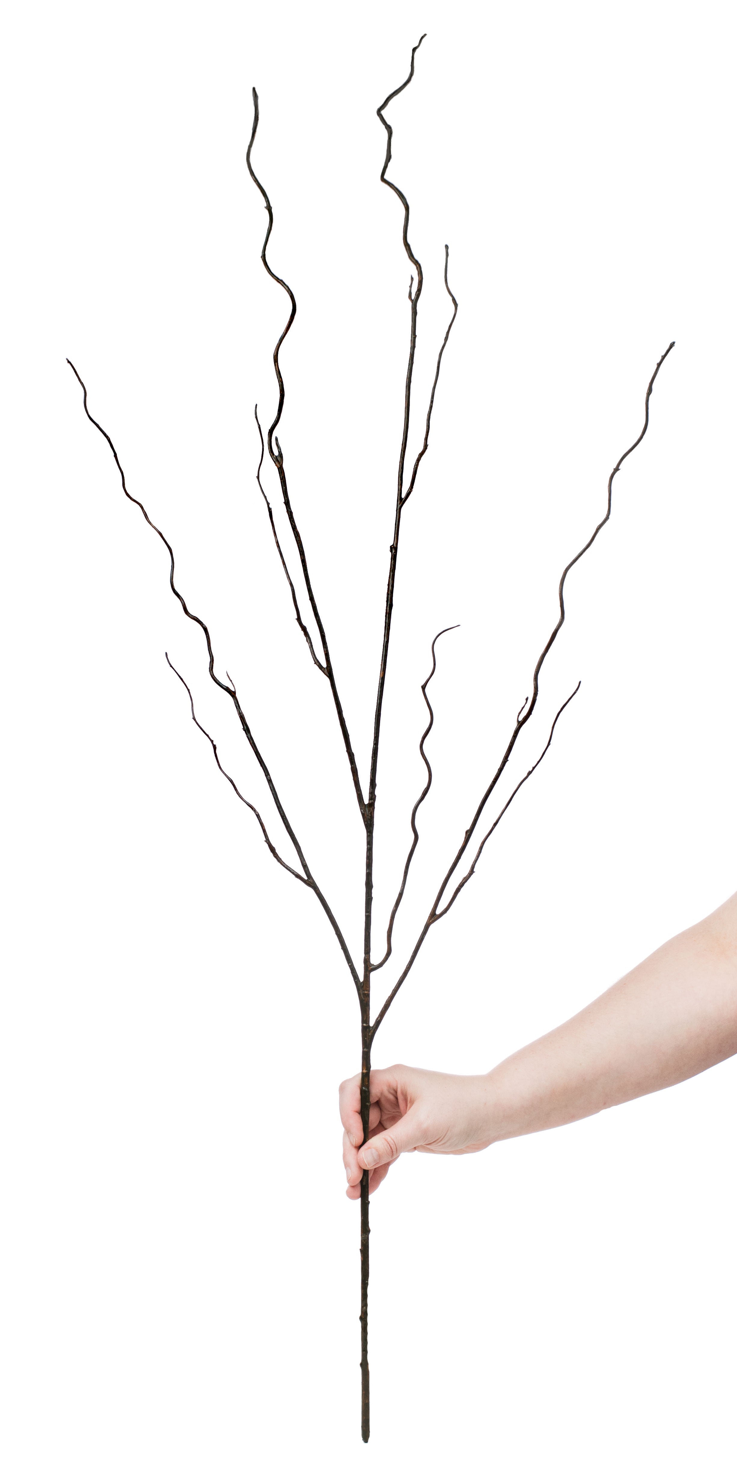 45" Brown Twig Curly Branch Lifestyle Photo