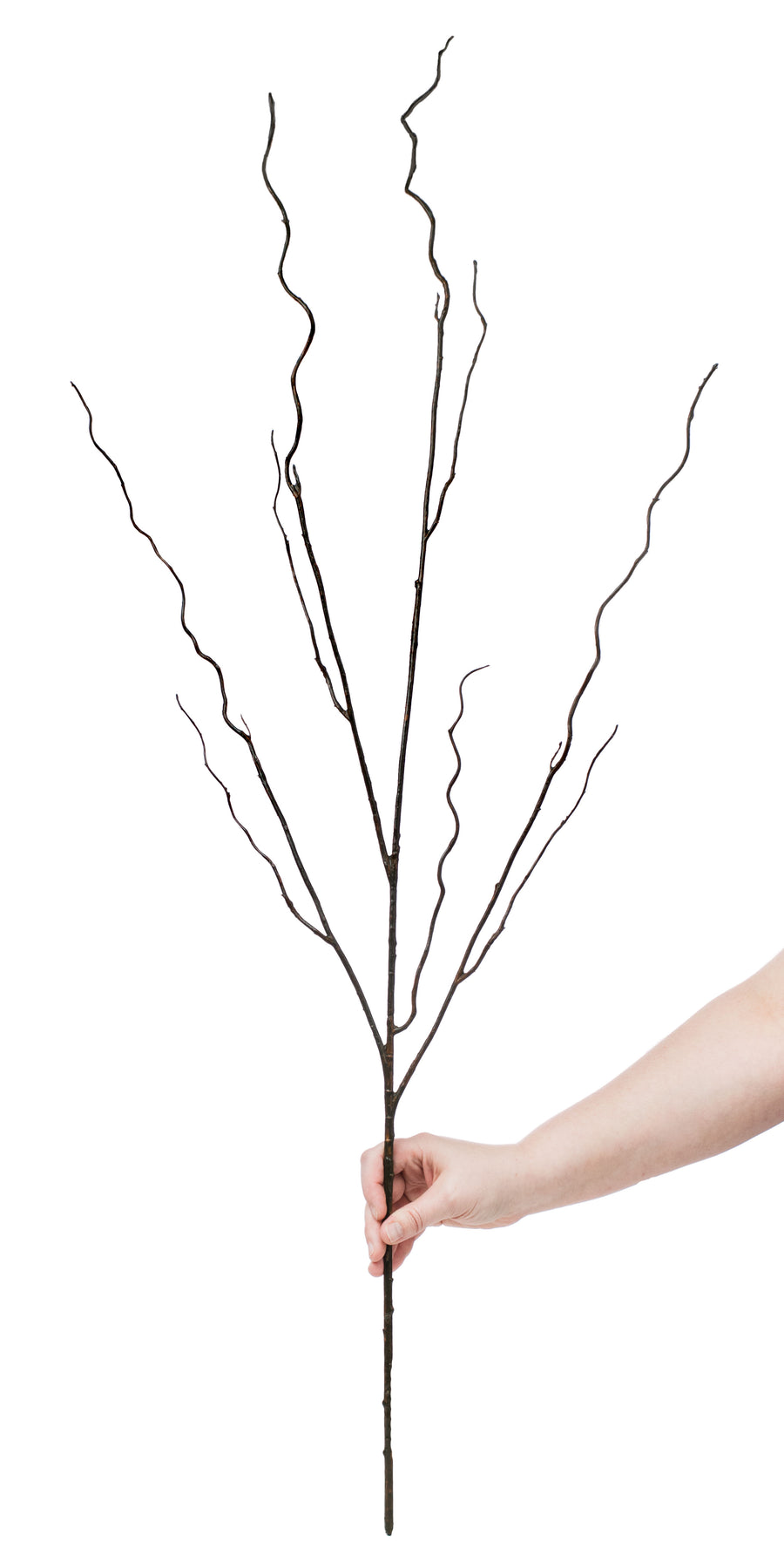 45" Brown Twig Curly Branch Lifestyle Photo