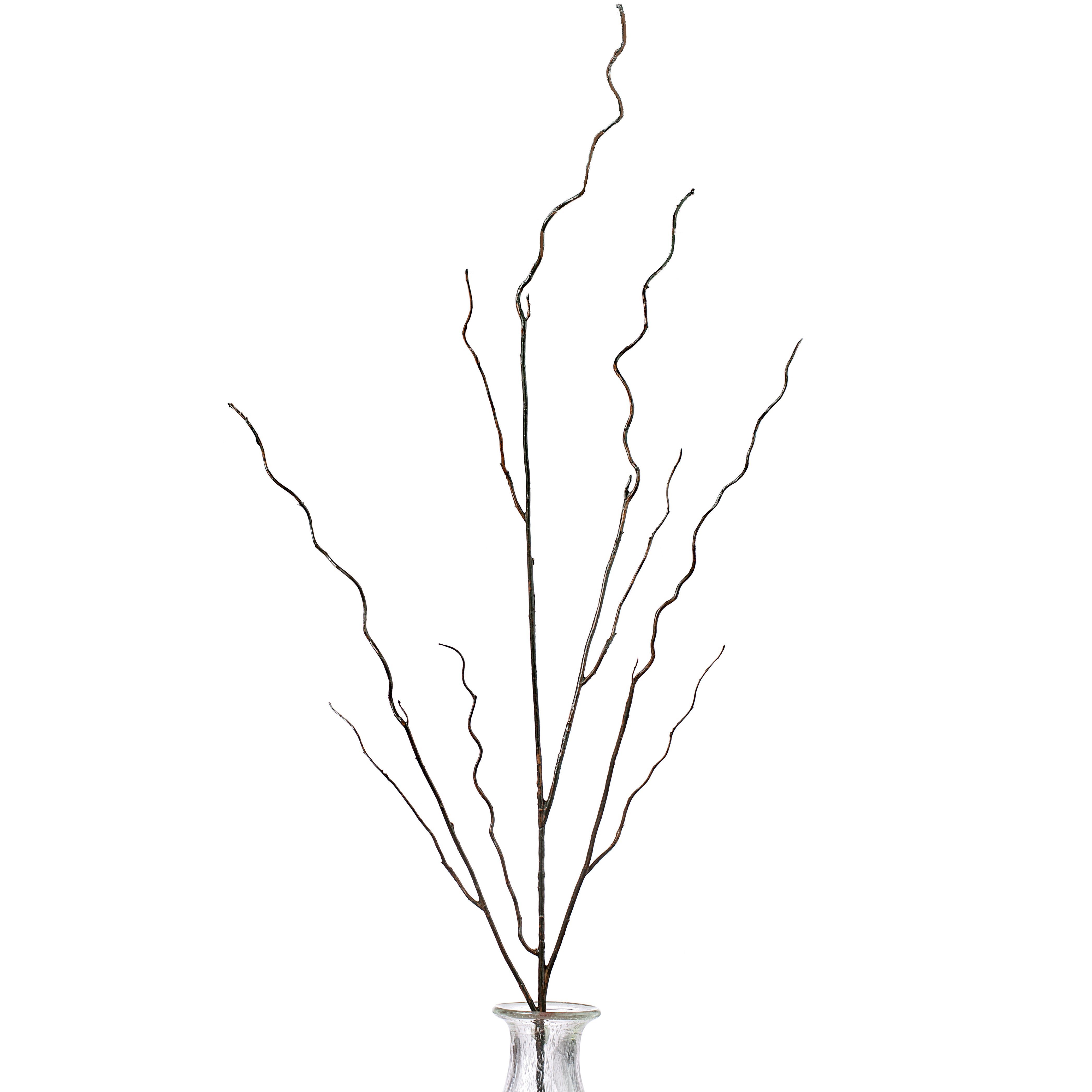 45" Brown Twig Curly Branch Item Number: 20057BN