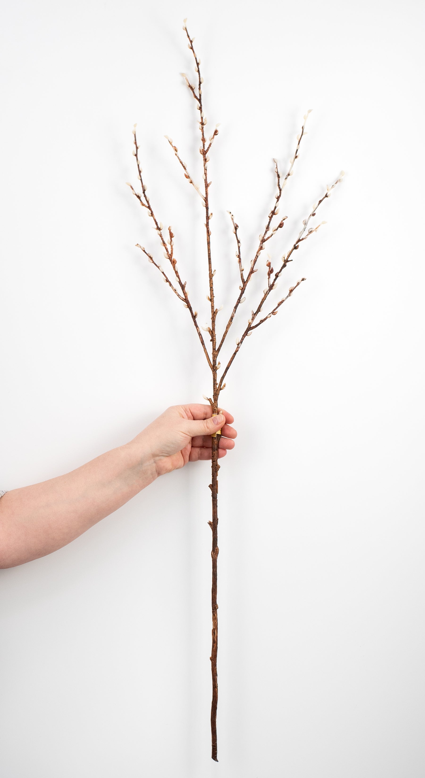 39" Buds Branch detail photo 3